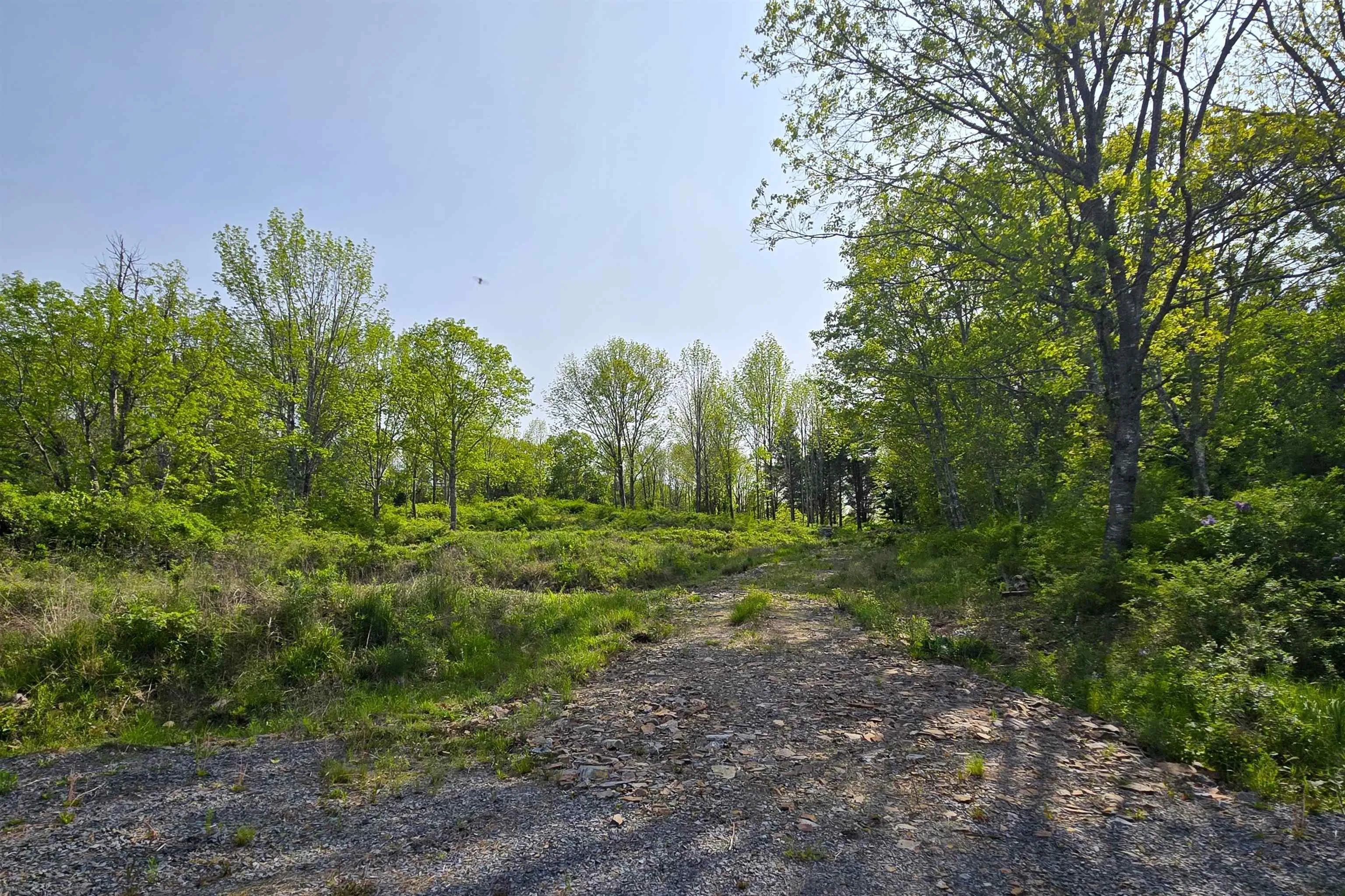 Highway 3, Maders Cove, NS B0J 2E0, ,Land,For Sale,Highway 3,202524849