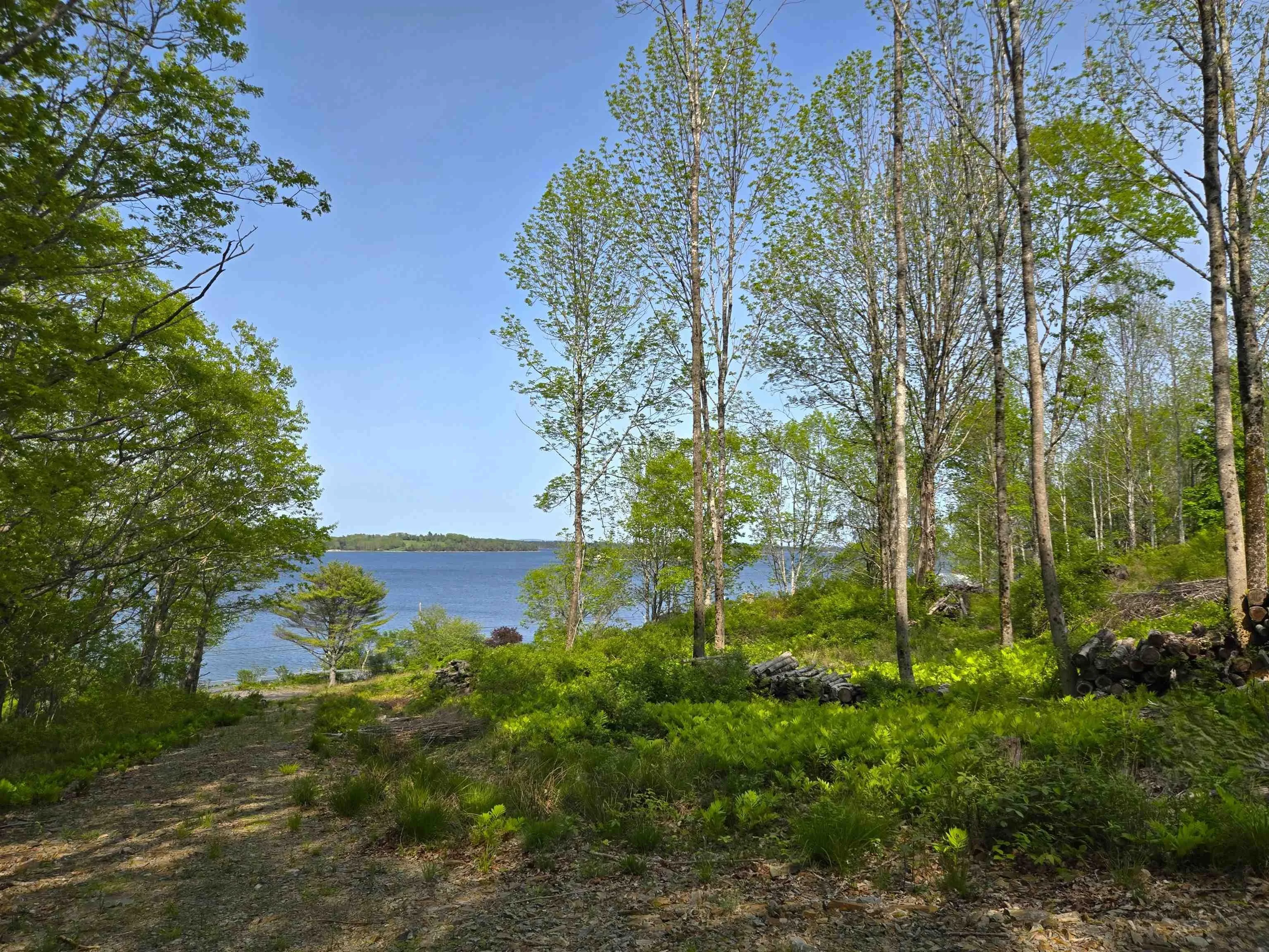 Highway 3, Maders Cove, NS B0J 2E0, ,Land,For Sale,Highway 3,202524849
