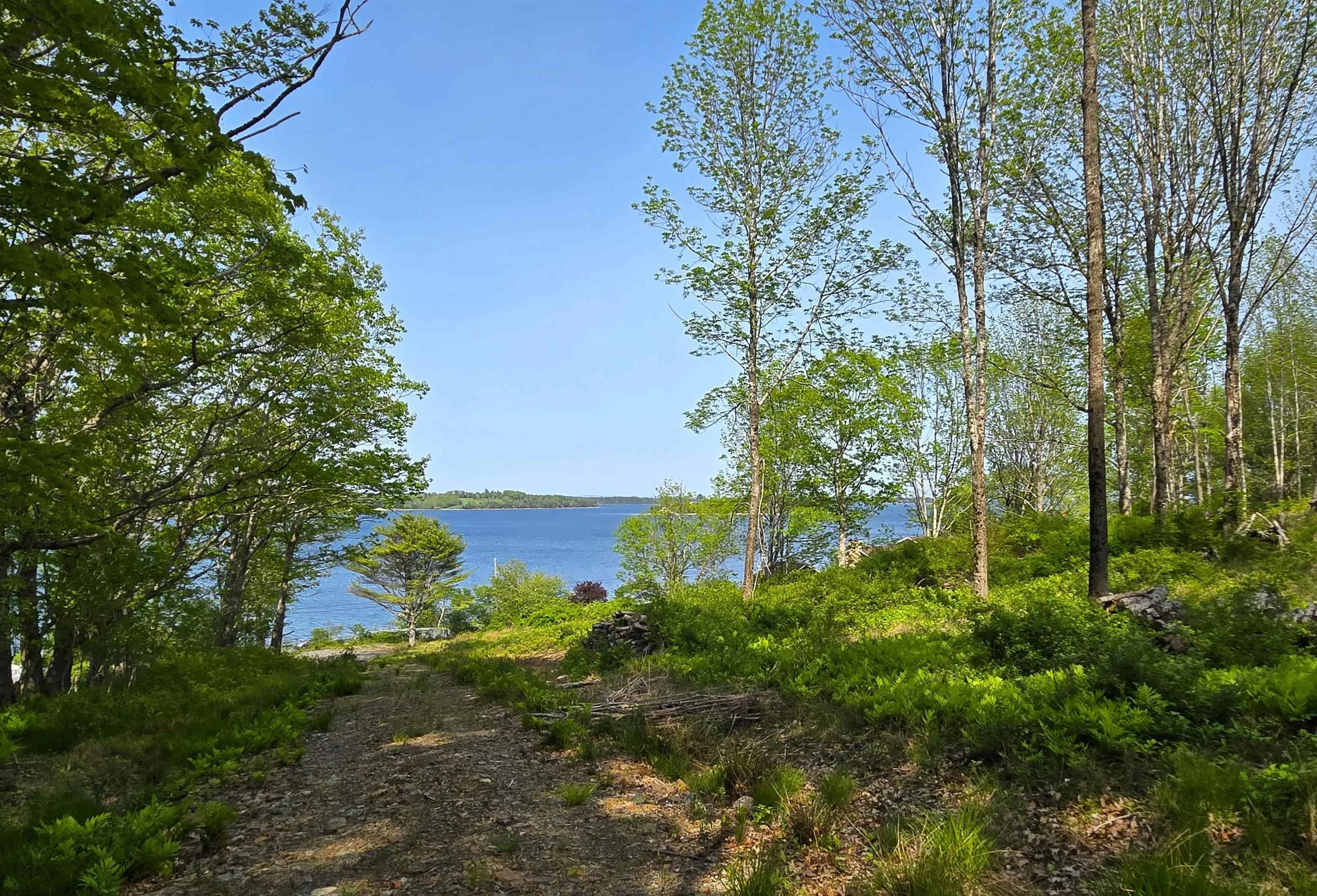 Highway 3, Maders Cove, NS B0J 2E0, ,Land,For Sale,Highway 3,202524849