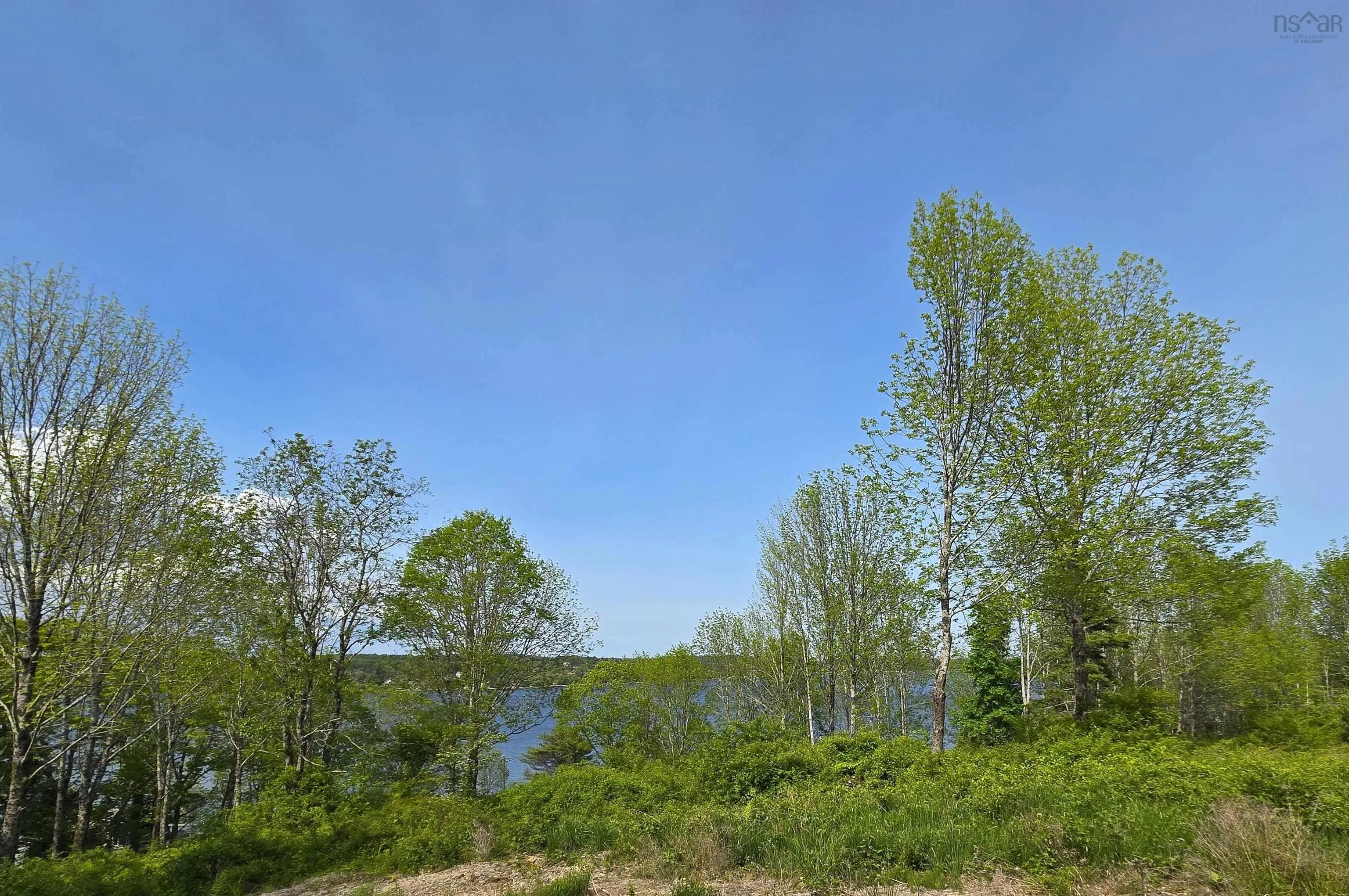 Highway 3, Maders Cove, NS B0J 2E0, ,Land,For Sale,Highway 3,202524849