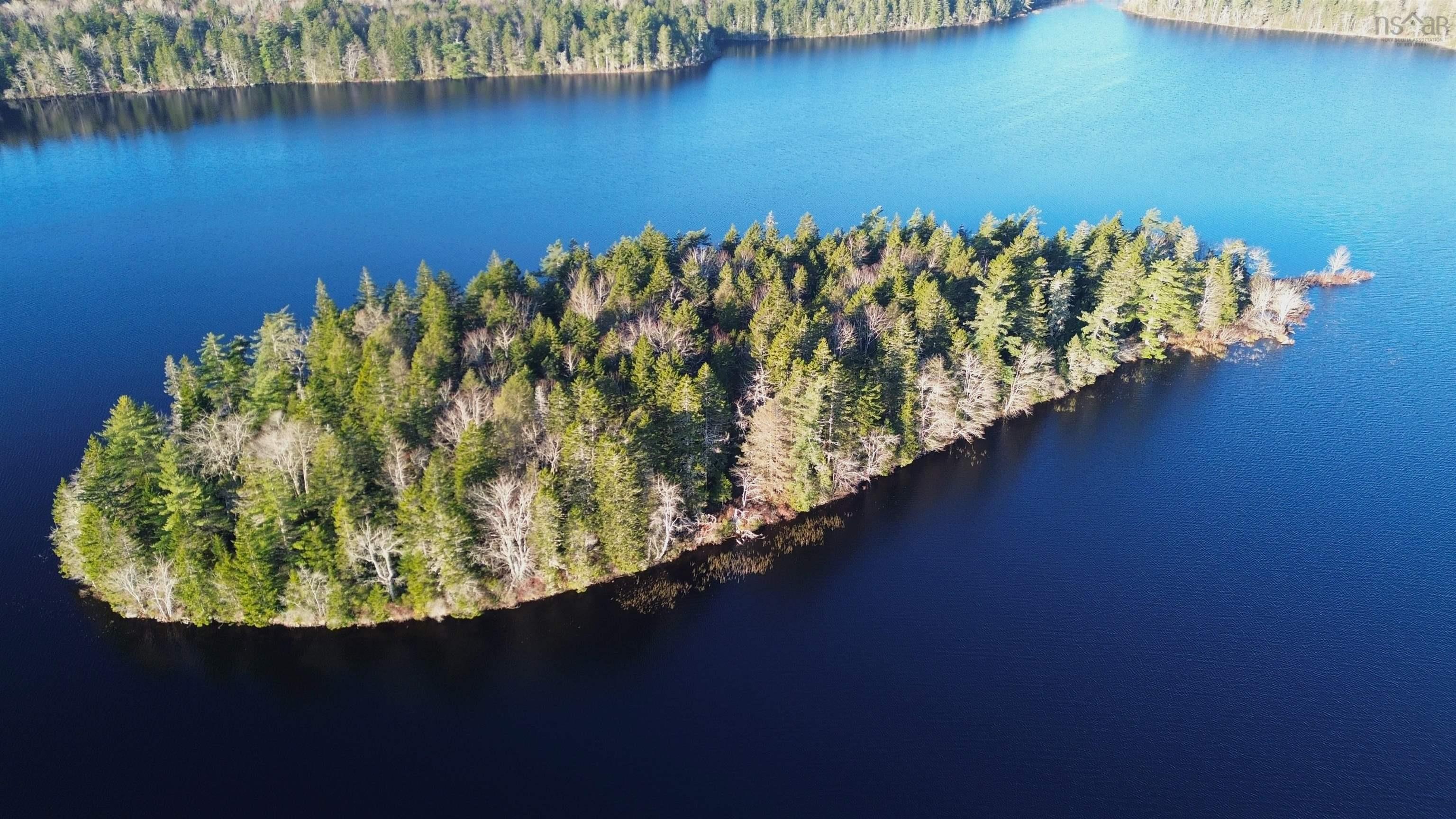 Major Road, New Tusket NS B0W 3T0, ,Land,For Sale,Major,202324390