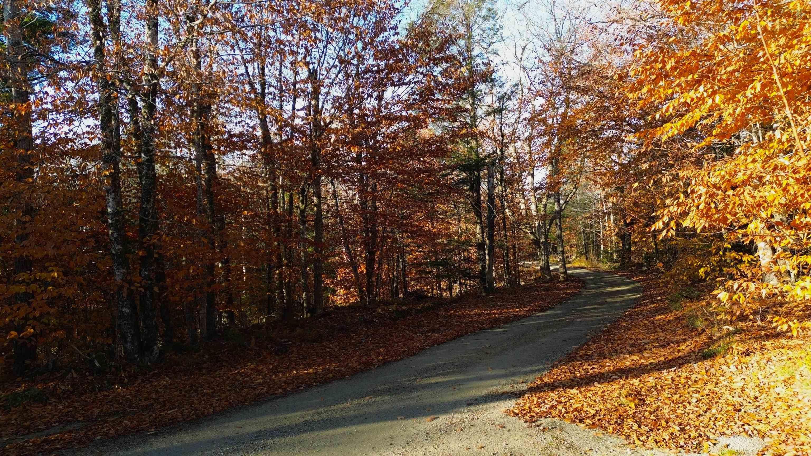 Major Road, New Tusket NS B0W 3T0, ,Land,For Sale,Major,202324390