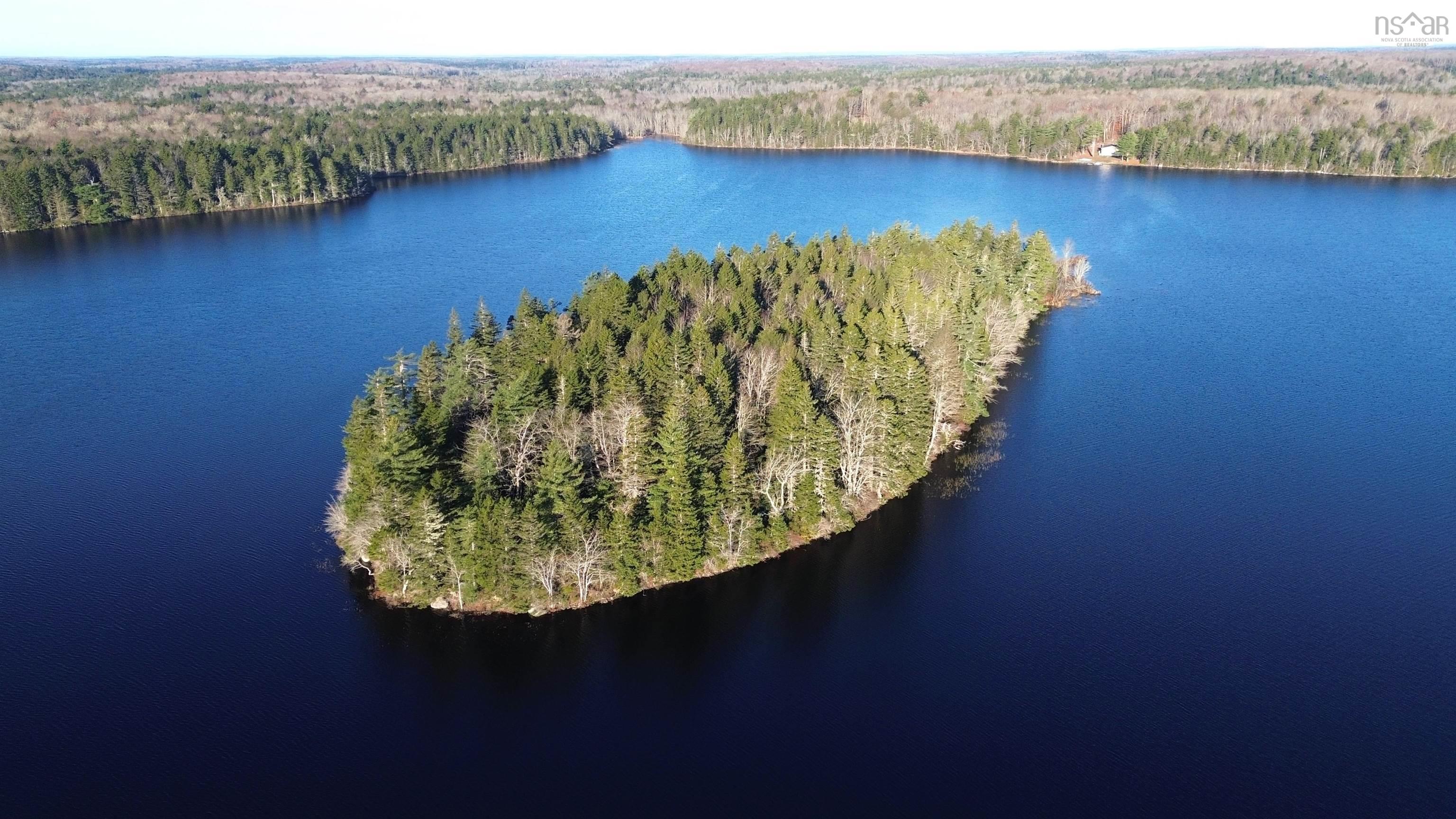 Major Road, New Tusket NS B0W 3T0, ,Land,For Sale,Major,202324390