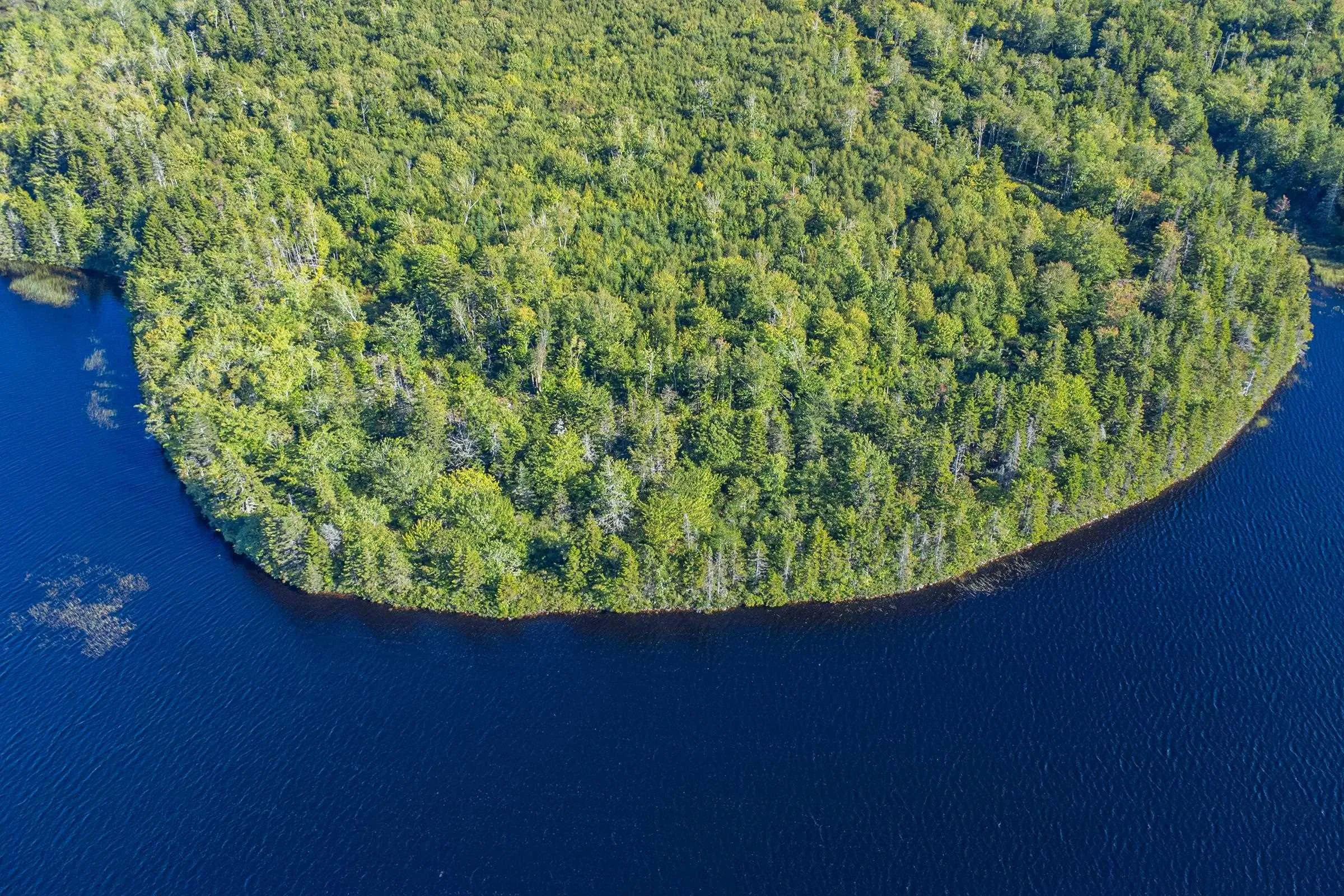 Ruel Du Lac Gaspereau, Mayflower, NS B0W 2Y0, ,Land,For Sale,Ruel Du Lac Gaspereau,202522519