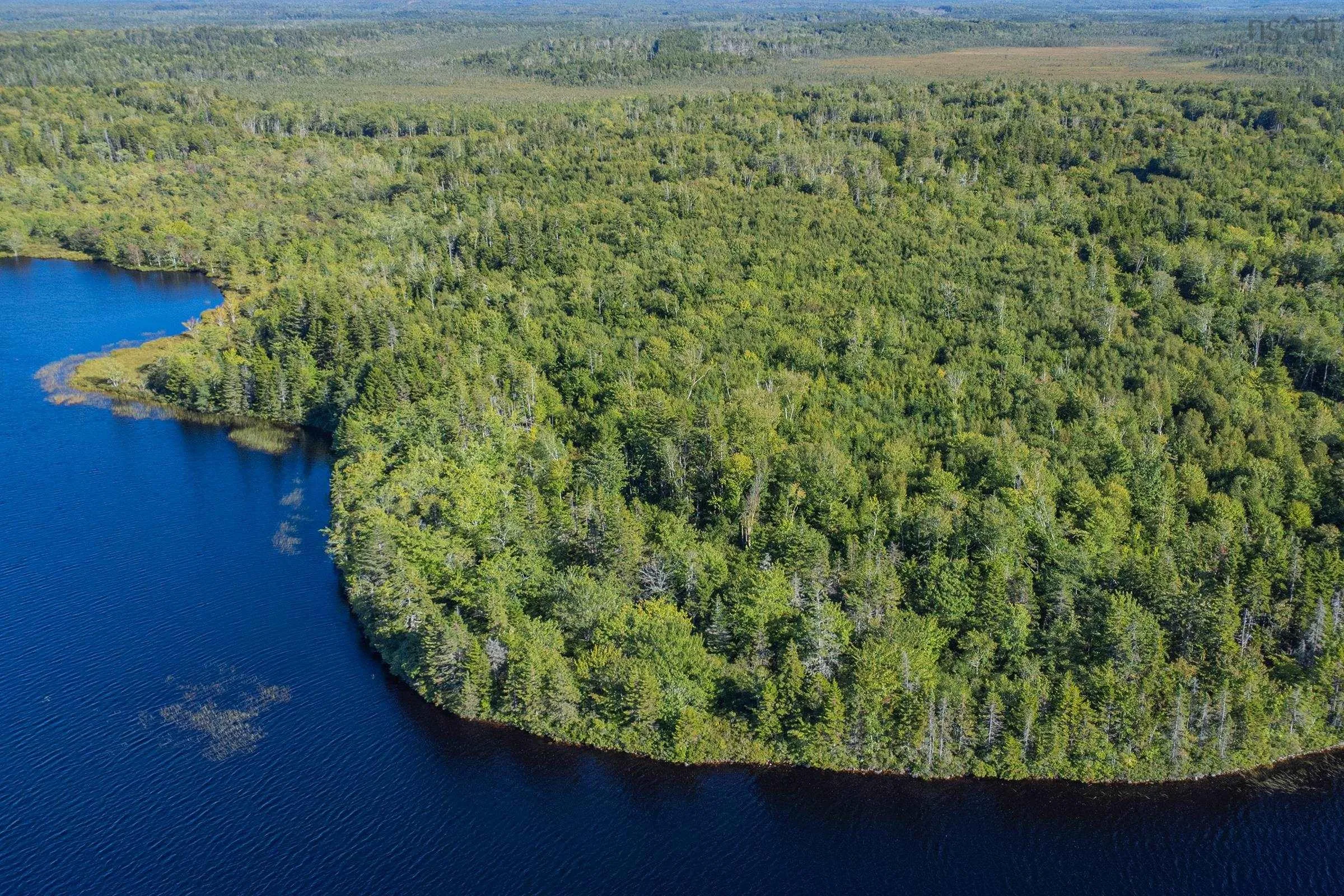 Ruel Du Lac Gaspereau, Mayflower, NS B0W 2Y0, ,Land,For Sale,Ruel Du Lac Gaspereau,202522519