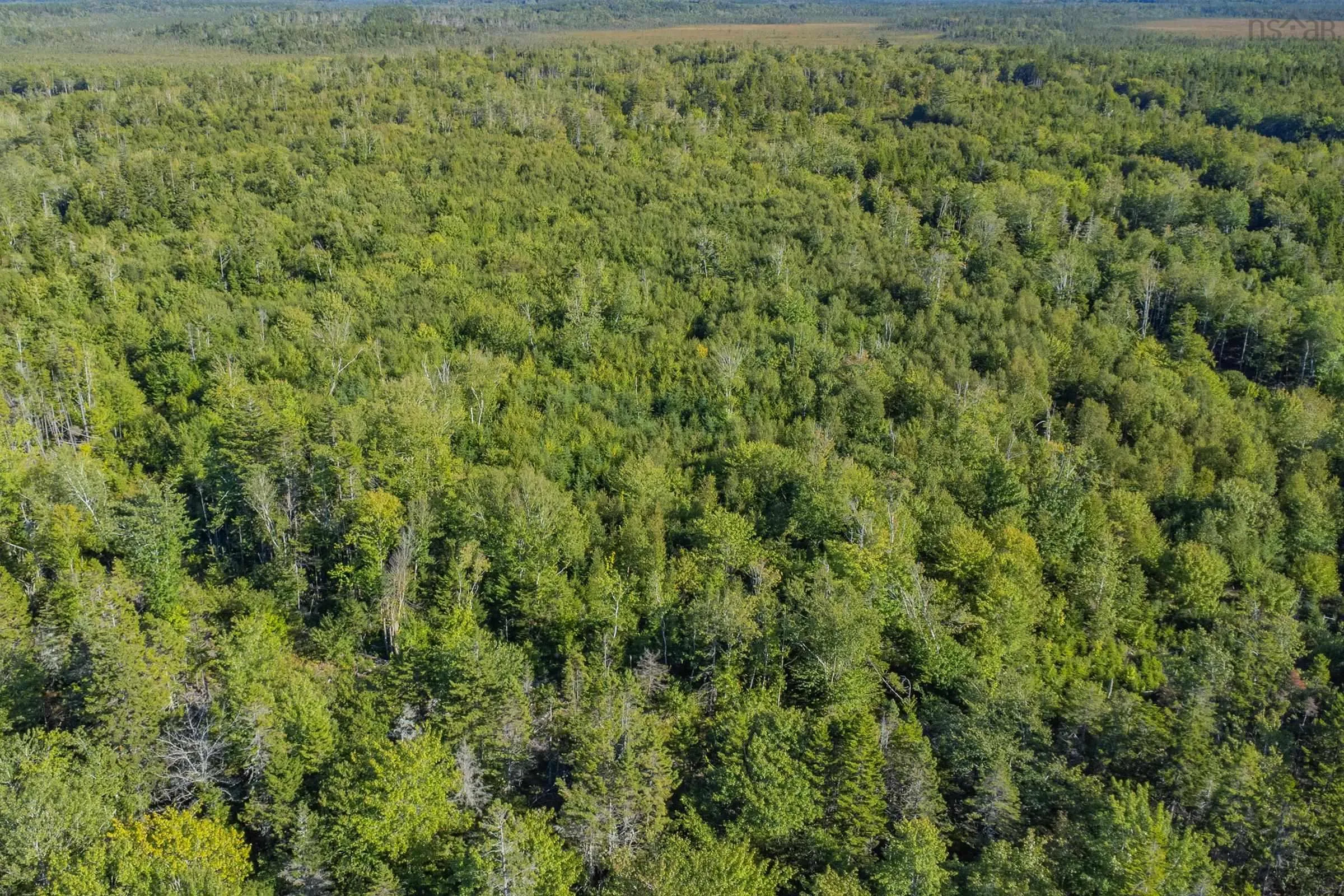 Ruel Du Lac Gaspereau, Mayflower, NS B0W 2Y0, ,Land,For Sale,Ruel Du Lac Gaspereau,202522519