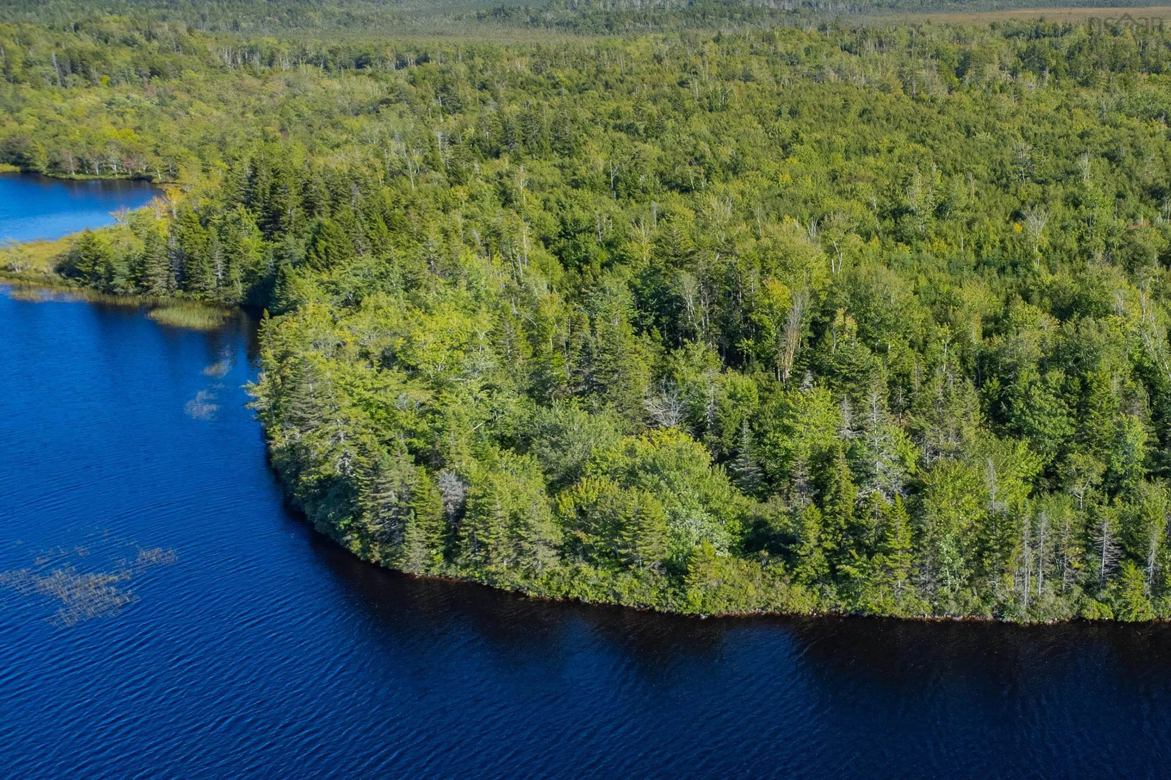 Ruel Du Lac Gaspereau, Mayflower, NS B0W 2Y0, ,Land,For Sale,Ruel Du Lac Gaspereau,202522519