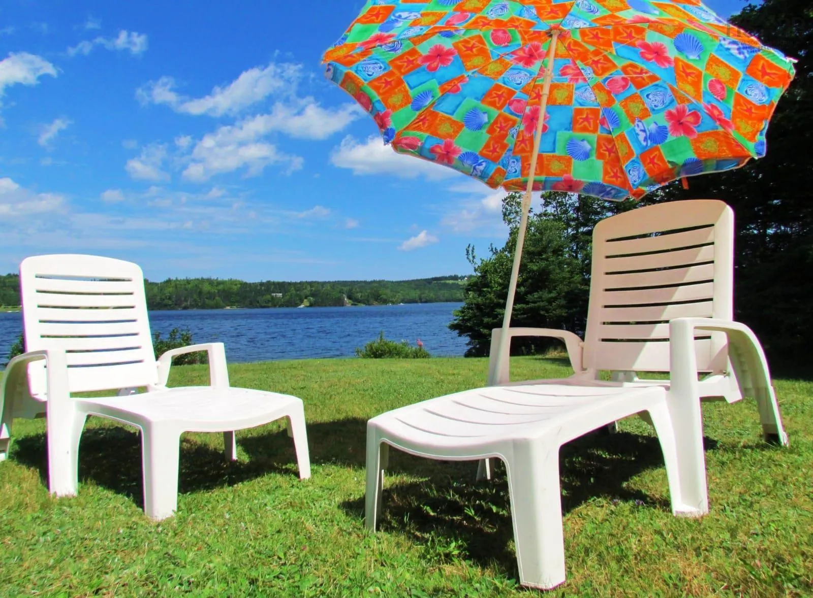 116 Macintosh Road, Guysborough County, NS B0H 1G0, 2 Bedrooms Bedrooms, ,1 BathroomBathrooms,Residential,For Sale,Macintosh,202521559