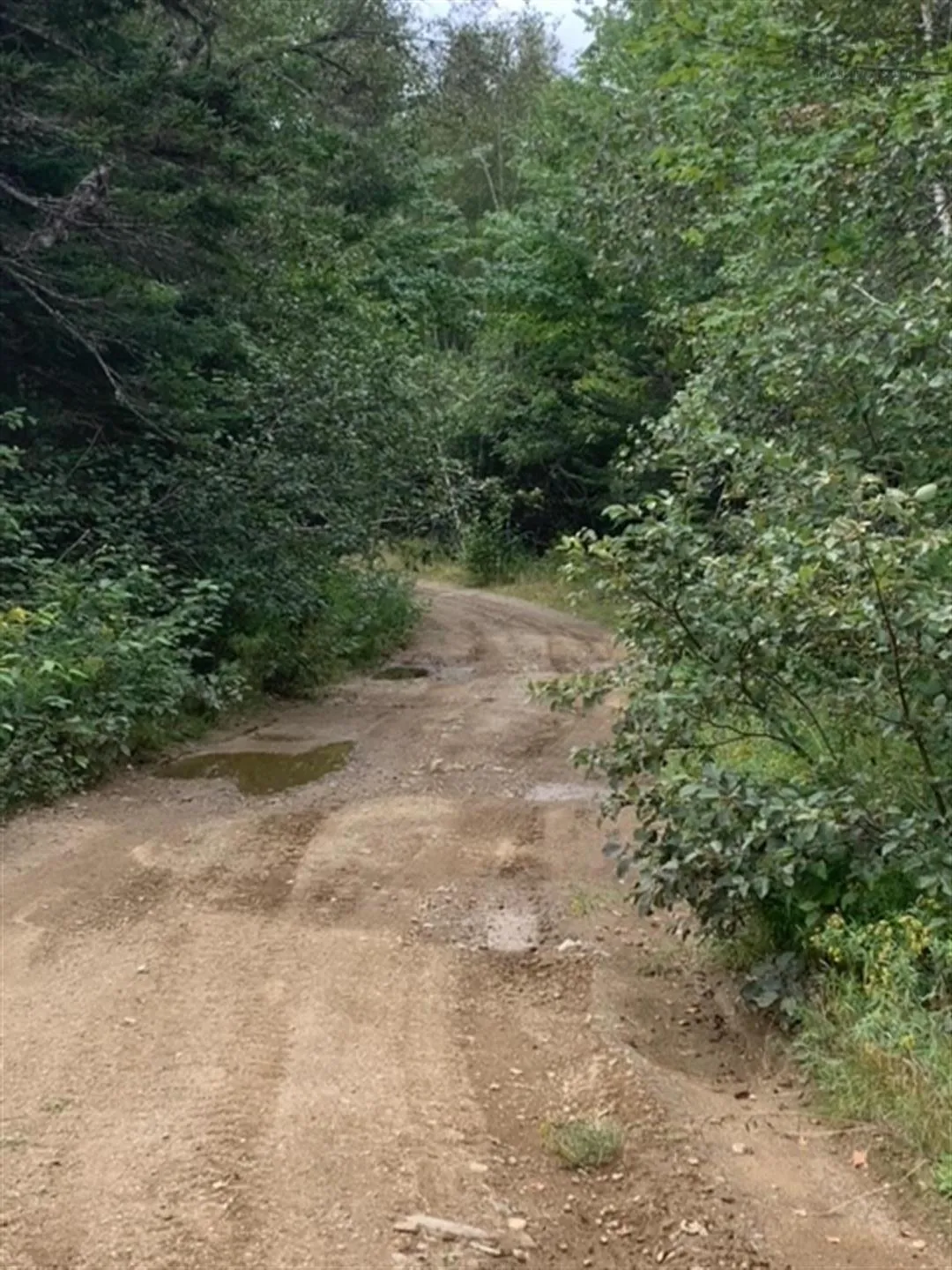 Lots Italy Cross Road, Italy Cross Ns B4v 5e7, ,Land,For Sale,Italy Cross Road,202506997