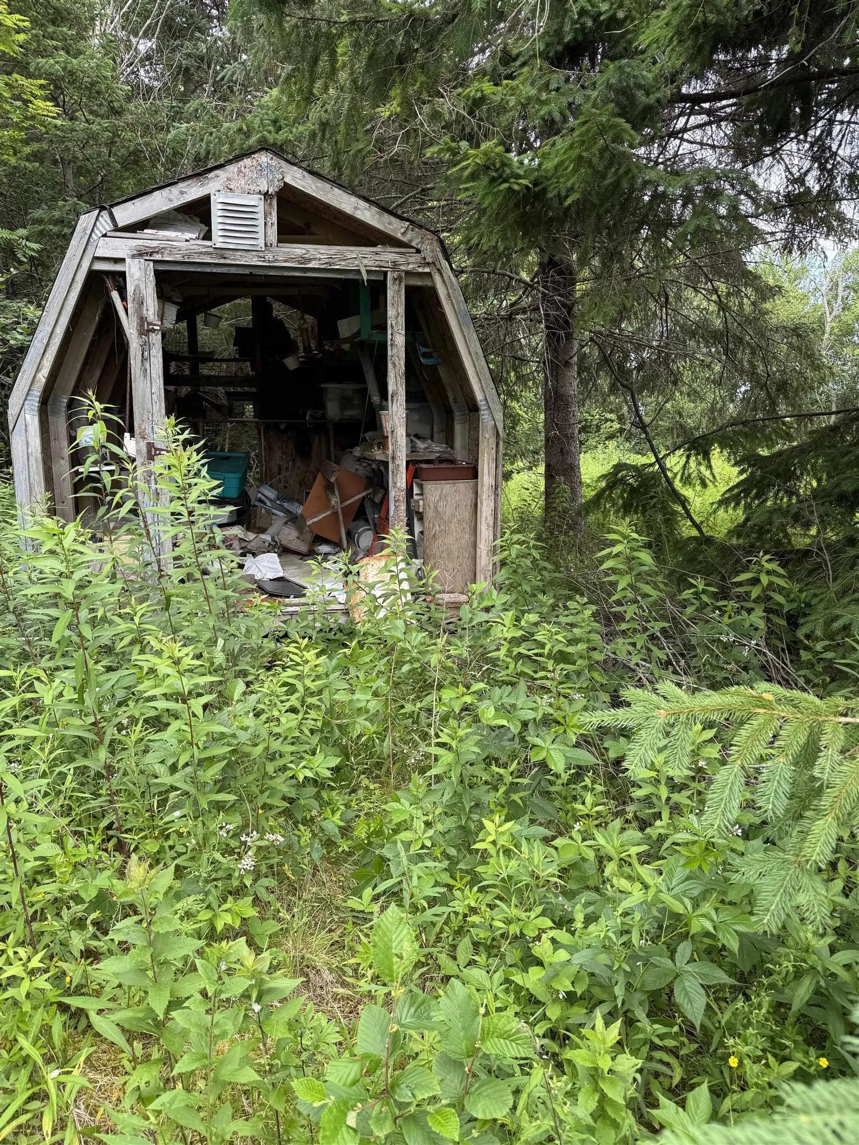 16-9273 Highway 16 Highway, Cooks Cove, NS B0H 1N0, 3 Bedrooms Bedrooms, ,1 BathroomBathrooms,Residential,For Sale,Highway 16,202516895