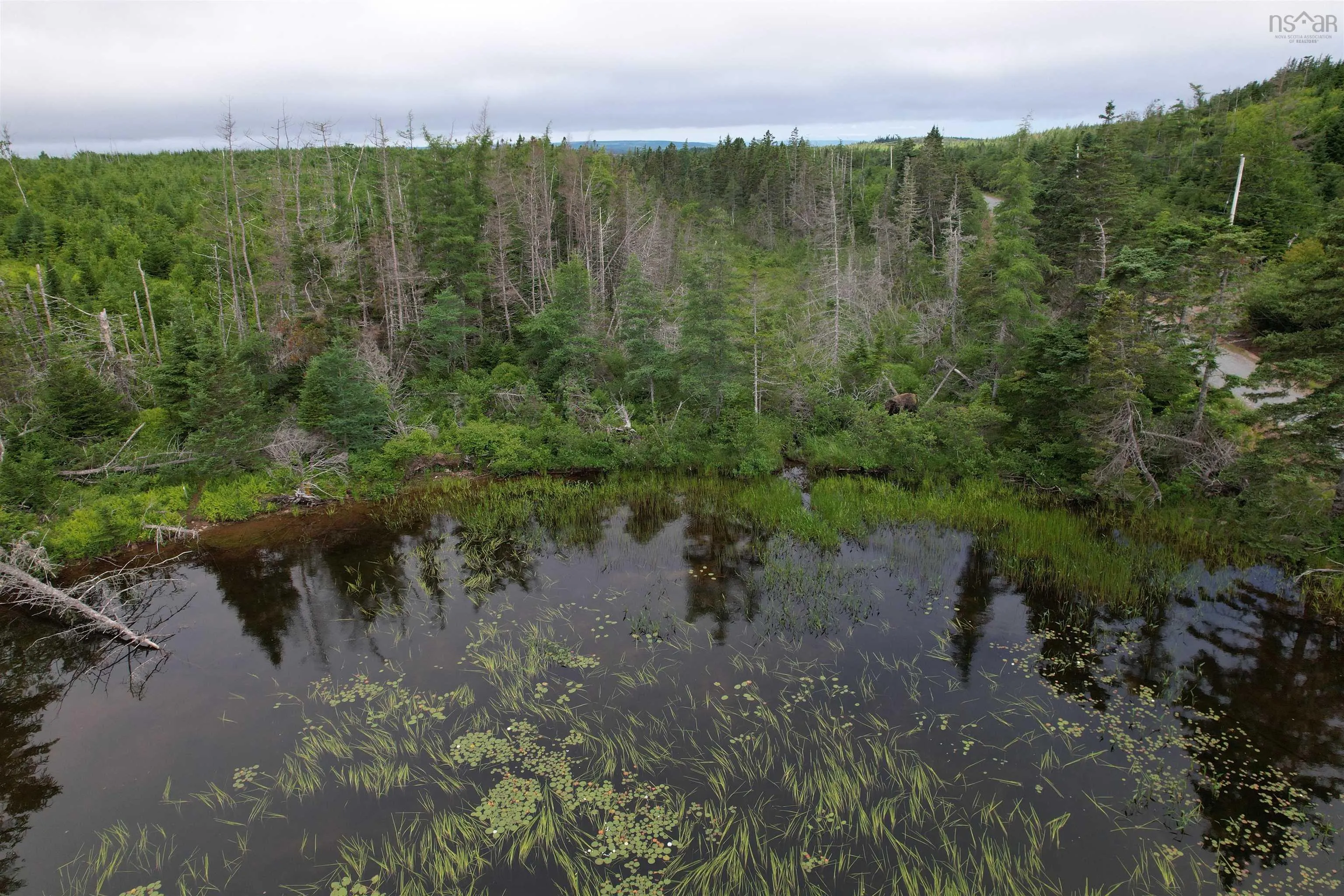 Rear Big Cove Road Lot 6, Soldiers Cove, NS B0E 3B0, ,Land,For Sale,Rear Big Cove,202518831