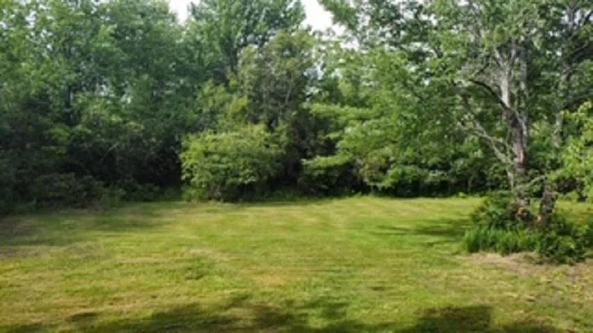 08-2 Malagash Road, Malagash Point, NS B0K 1E0, ,Land,For Sale,Malagash,202518899