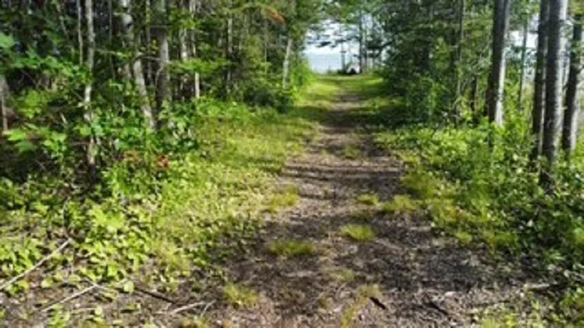 08-2 Malagash Road, Malagash Point, NS B0K 1E0, ,Land,For Sale,Malagash,202518899