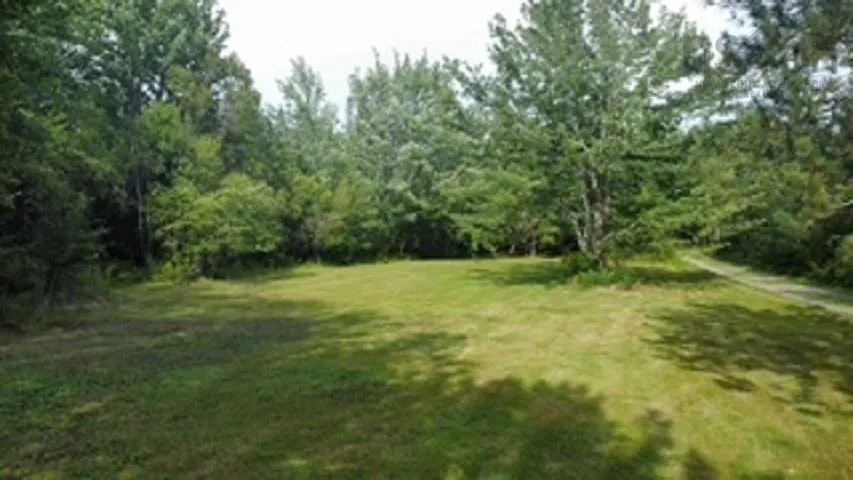 08-2 Malagash Road, Malagash Point, NS B0K 1E0, ,Land,For Sale,Malagash,202518899