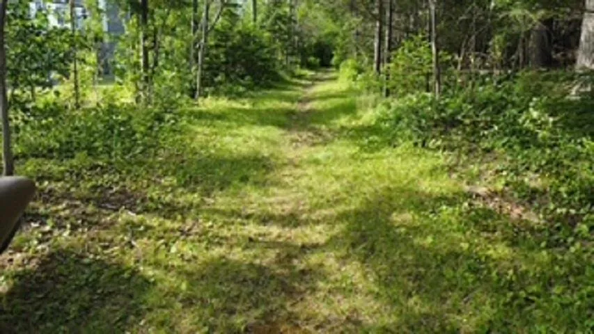 08-2 Malagash Road, Malagash Point, NS B0K 1E0, ,Land,For Sale,Malagash,202518899