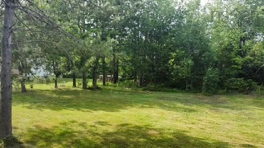08-2 Malagash Road, Malagash Point, NS B0K 1E0, ,Land,For Sale,Malagash,202518899