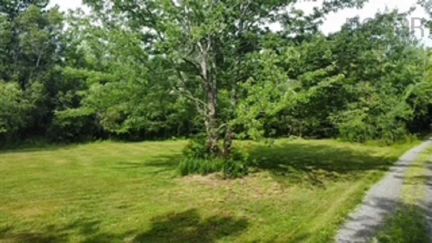 08-2 Malagash Road, Malagash Point, NS B0K 1E0, ,Land,For Sale,Malagash,202518899