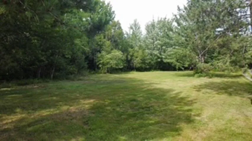 08-2 Malagash Road, Malagash Point, NS B0K 1E0, ,Land,For Sale,Malagash,202518899