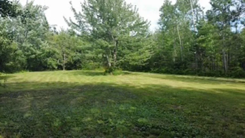 08-2 Malagash Road, Malagash Point, NS B0K 1E0, ,Land,For Sale,Malagash,202518899