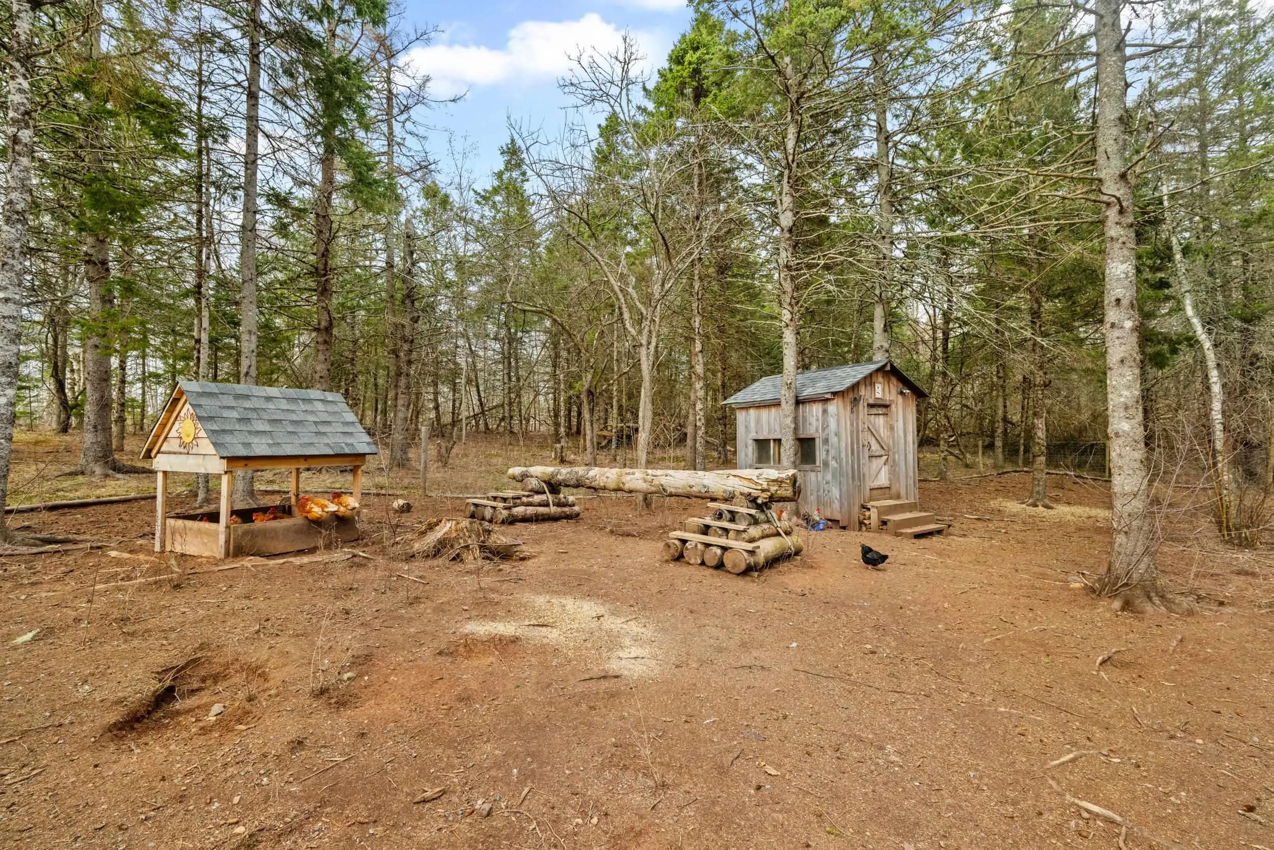204 Loop Of Route 311, Tatamagouche Ns B0k 1v0, 4 Bedrooms Bedrooms, ,4 BathroomsBathrooms,Residential,For Sale,Loop Of Route 311,202509182