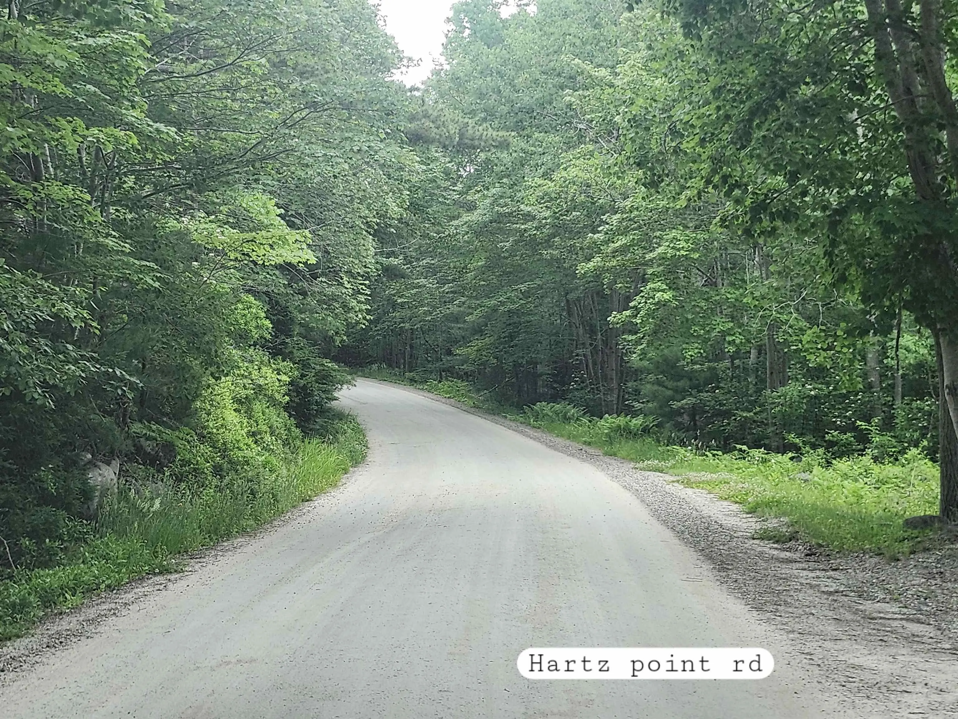 216 Hartz Point Road, Hartz Point Ns B0t 1w0, ,Land,For Sale,Hartz Point,202424316