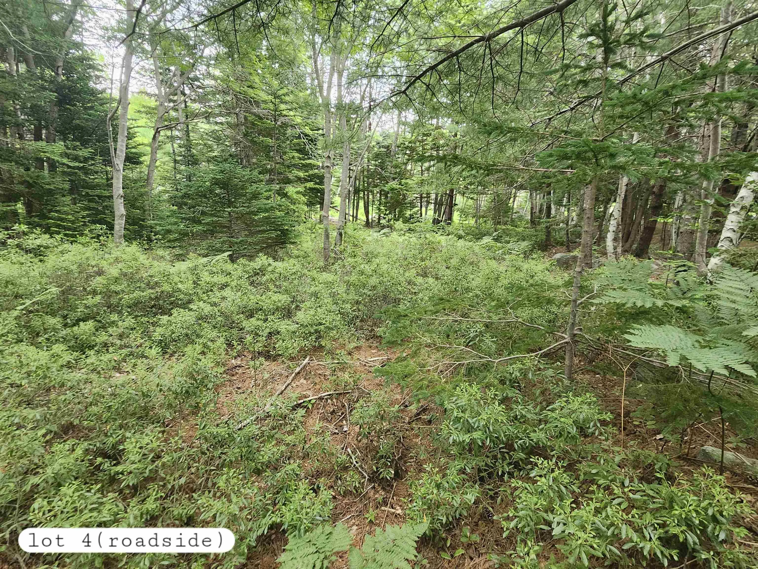 216 Hartz Point Road, Hartz Point Ns B0t 1w0, ,Land,For Sale,Hartz Point,202424316