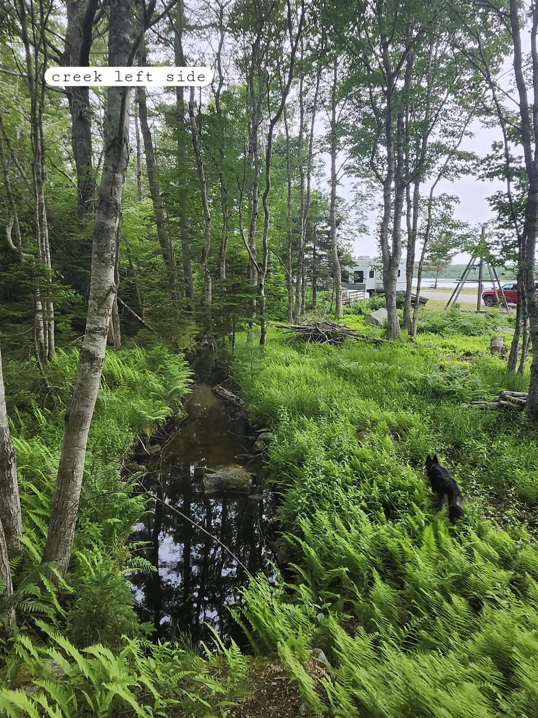 216 Hartz Point Road, Hartz Point Ns B0t 1w0, ,Land,For Sale,Hartz Point,202424316
