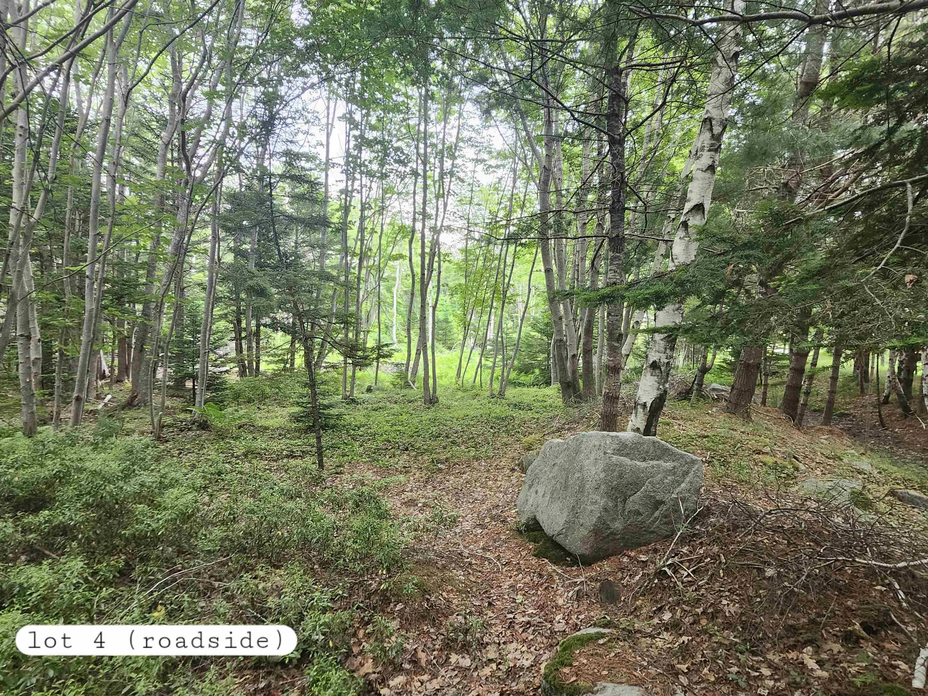216 Hartz Point Road, Hartz Point Ns B0t 1w0, ,Land,For Sale,Hartz Point,202424316