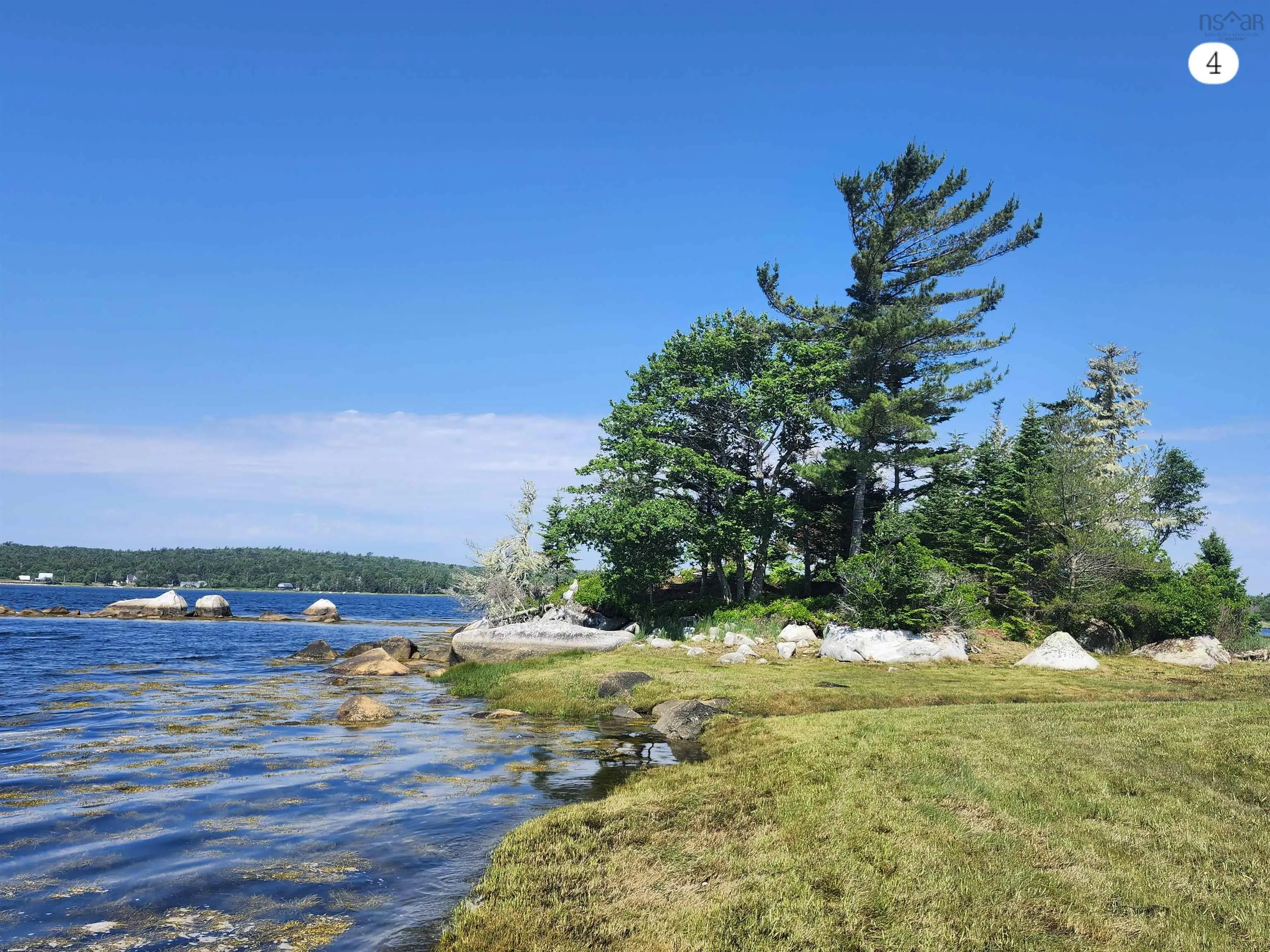 216 Hartz Point Road, Hartz Point Ns B0t 1w0, ,Land,For Sale,Hartz Point,202424316