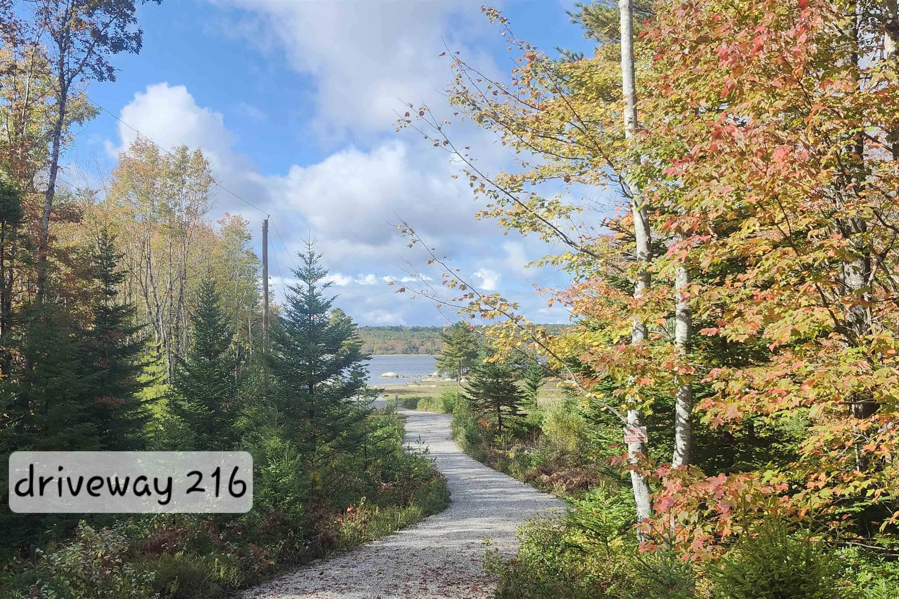 216 Hartz Point Road, Hartz Point Ns B0t 1w0, ,Land,For Sale,Hartz Point,202424316