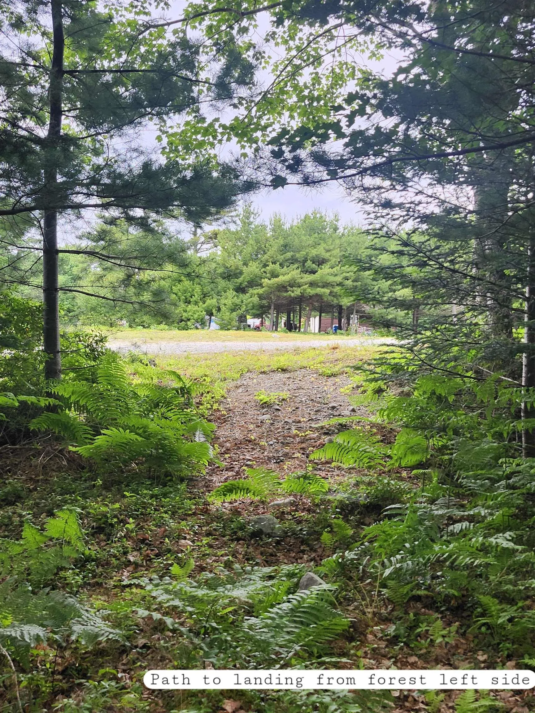 216 Hartz Point Road, Hartz Point Ns B0t 1w0, ,Land,For Sale,Hartz Point,202424316