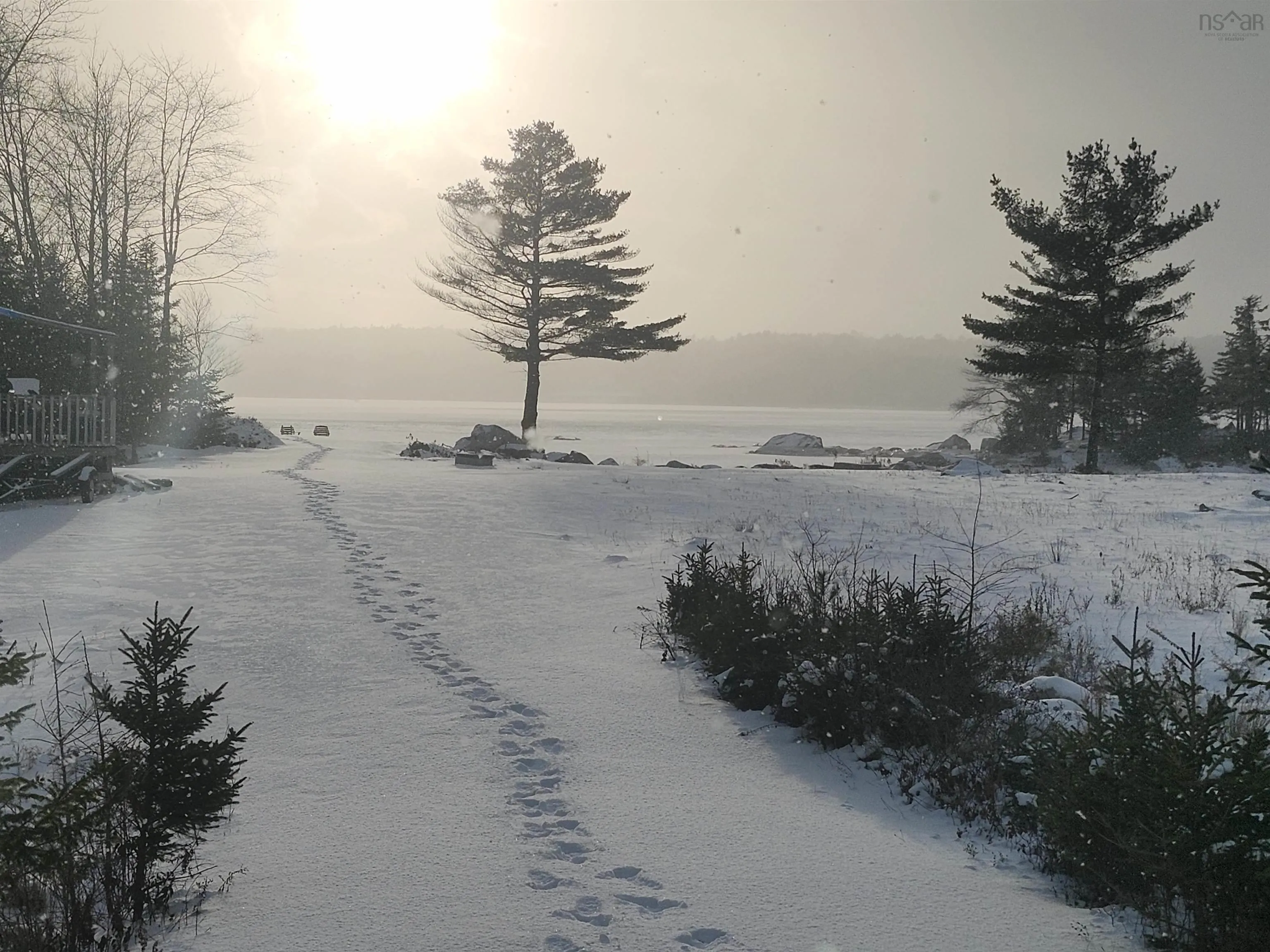 216 Hartz Point Road, Hartz Point Ns B0t 1w0, ,Land,For Sale,Hartz Point,202424316