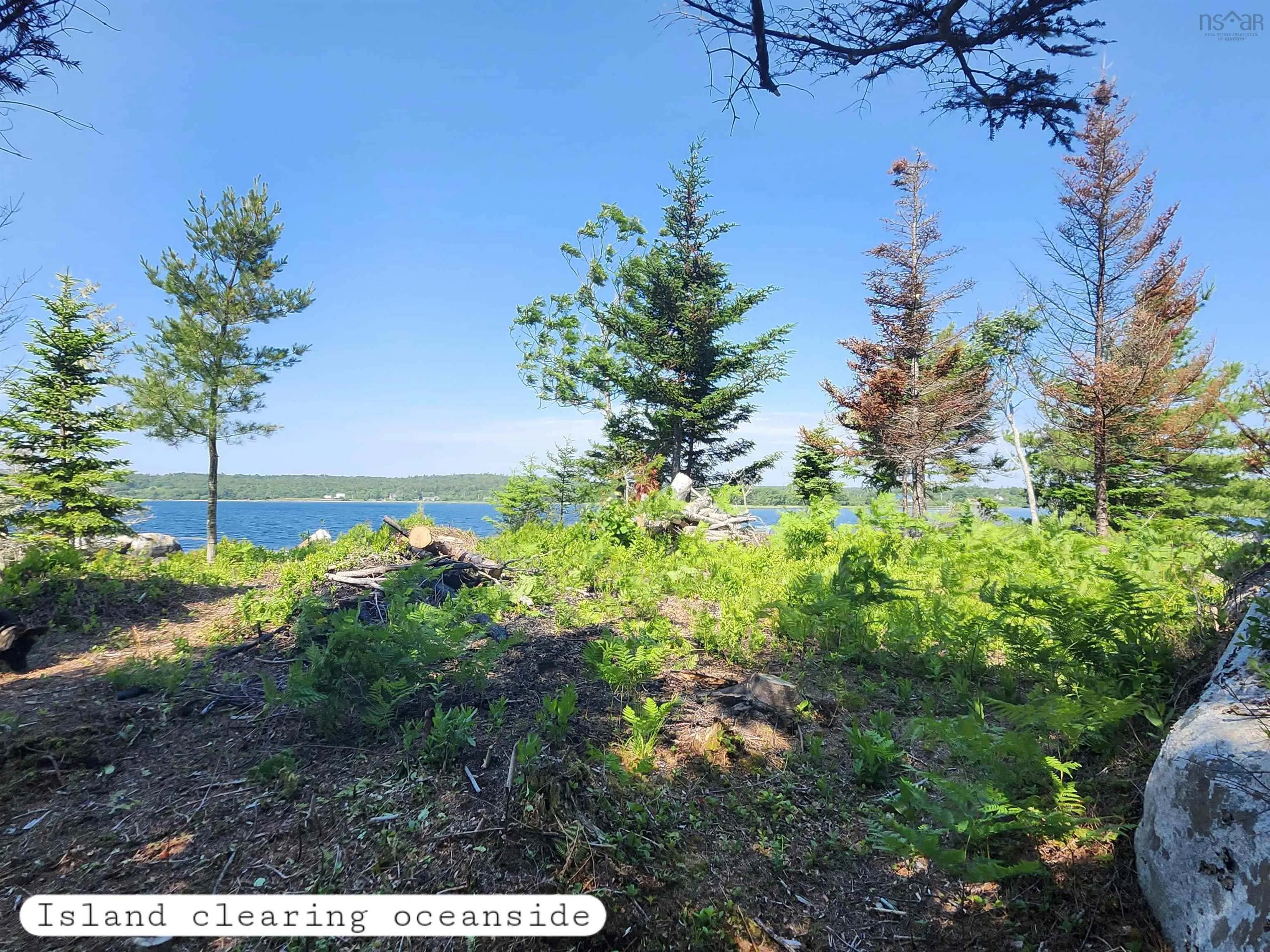 216 Hartz Point Road, Hartz Point Ns B0t 1w0, ,Land,For Sale,Hartz Point,202424316