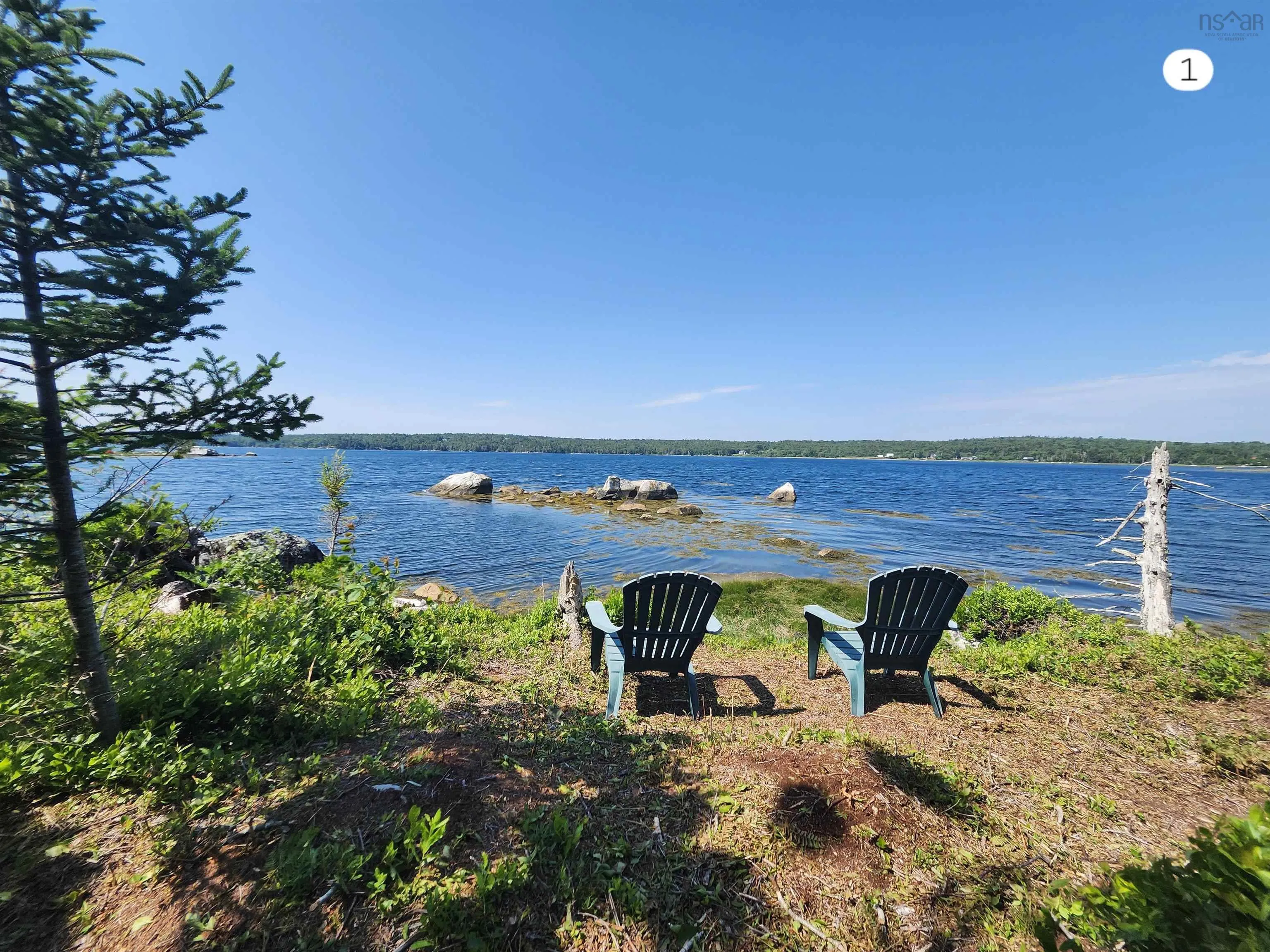 216 Hartz Point Road, Hartz Point Ns B0t 1w0, ,Land,For Sale,Hartz Point,202424316