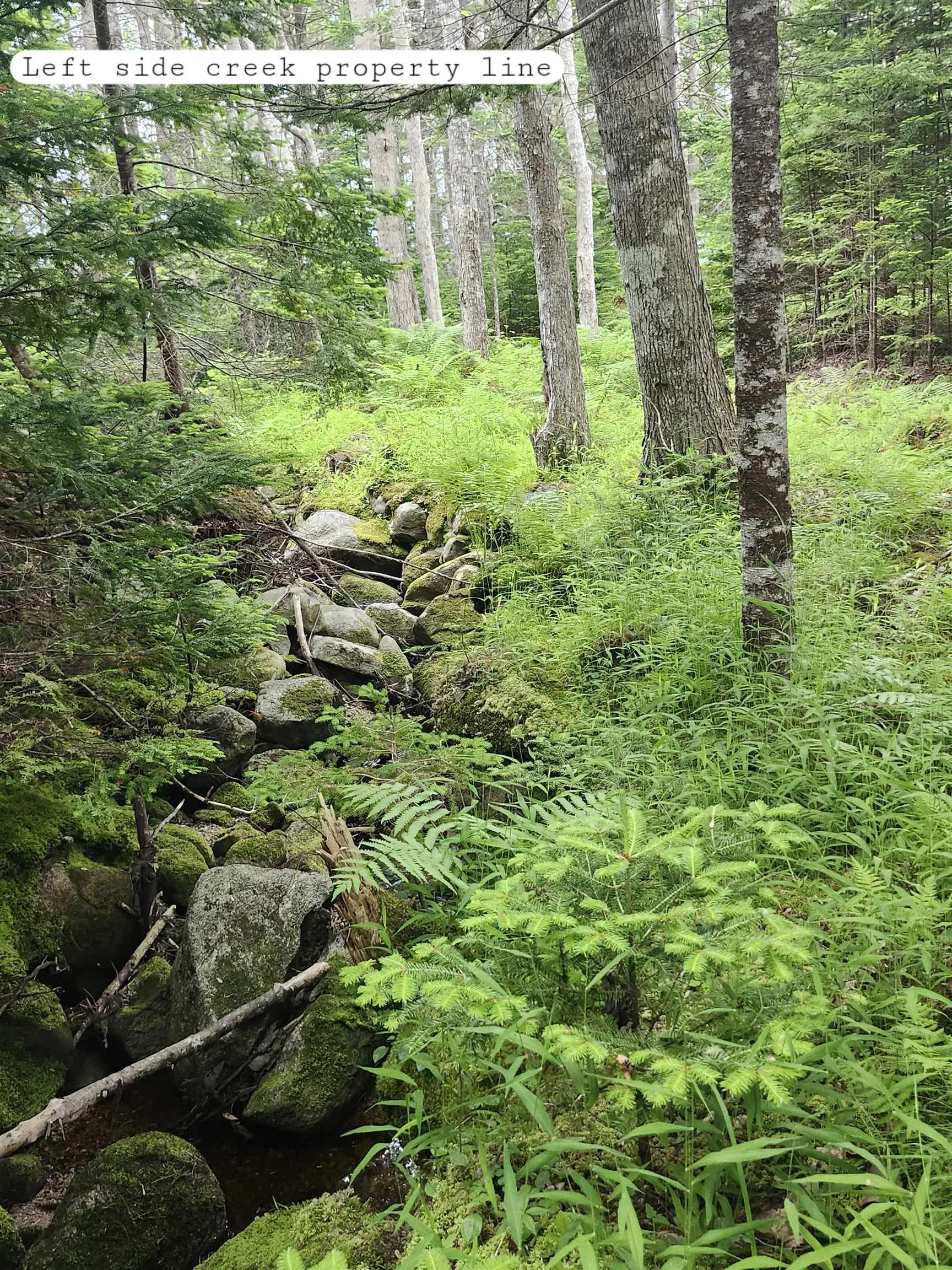 216 Hartz Point Road, Hartz Point Ns B0t 1w0, ,Land,For Sale,Hartz Point,202424316