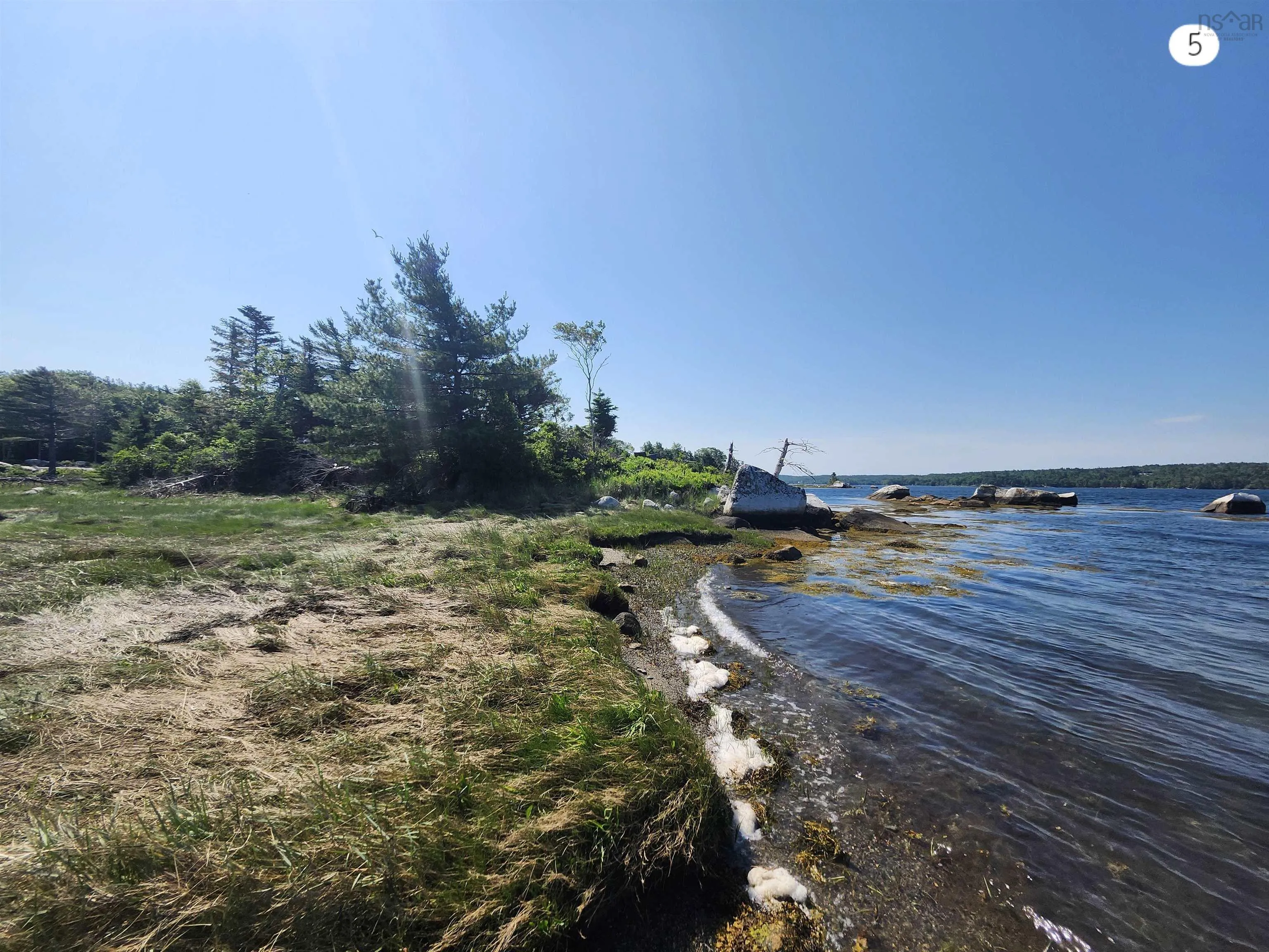 216 Hartz Point Road, Hartz Point Ns B0t 1w0, ,Land,For Sale,Hartz Point,202424316