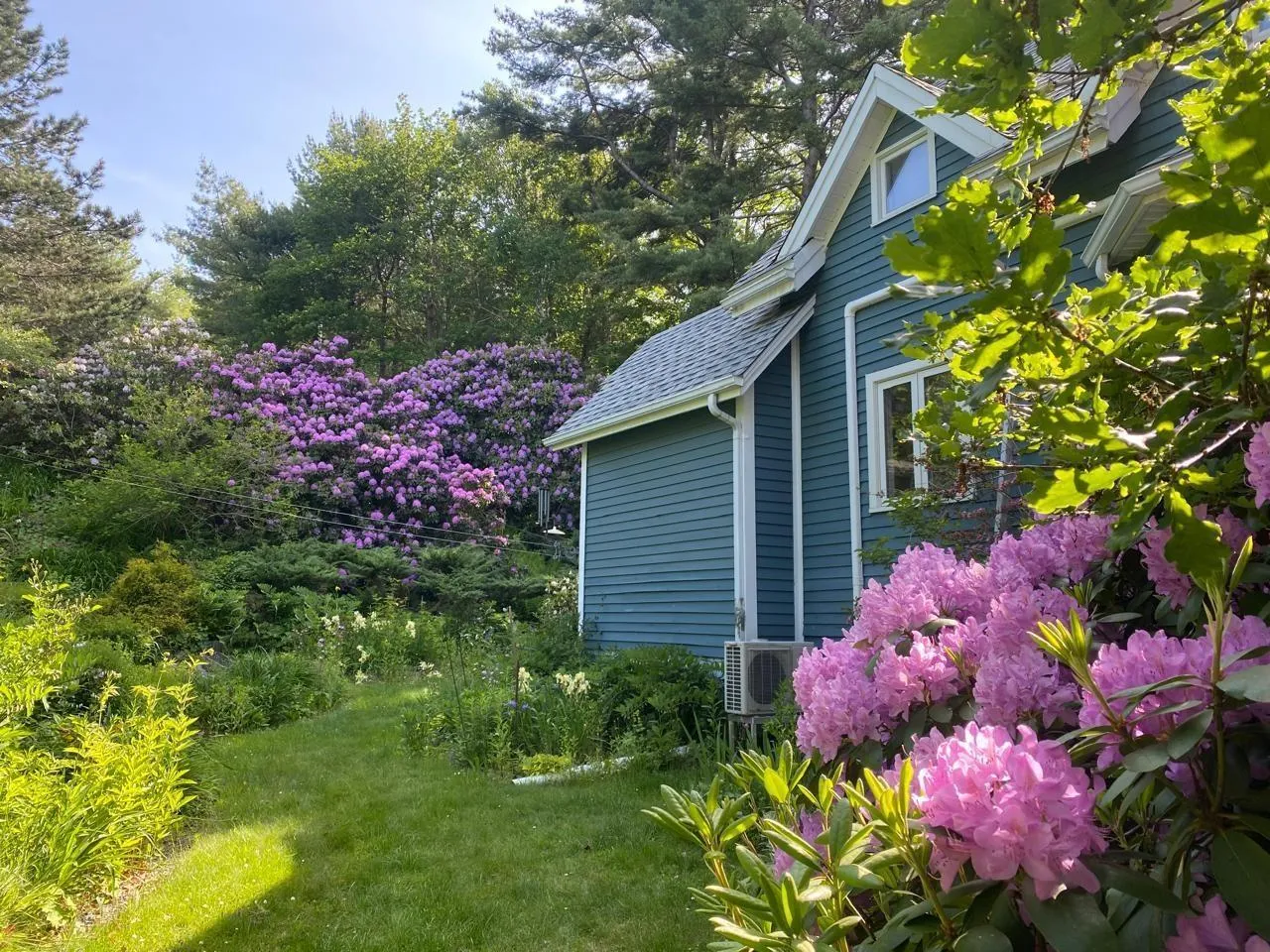 38 Kearney Lake Road, Rockingham, NS B3M 2S4, 3 Bedrooms Bedrooms, ,2 BathroomsBathrooms,Residential,For Sale,Kearney Lake,202523341