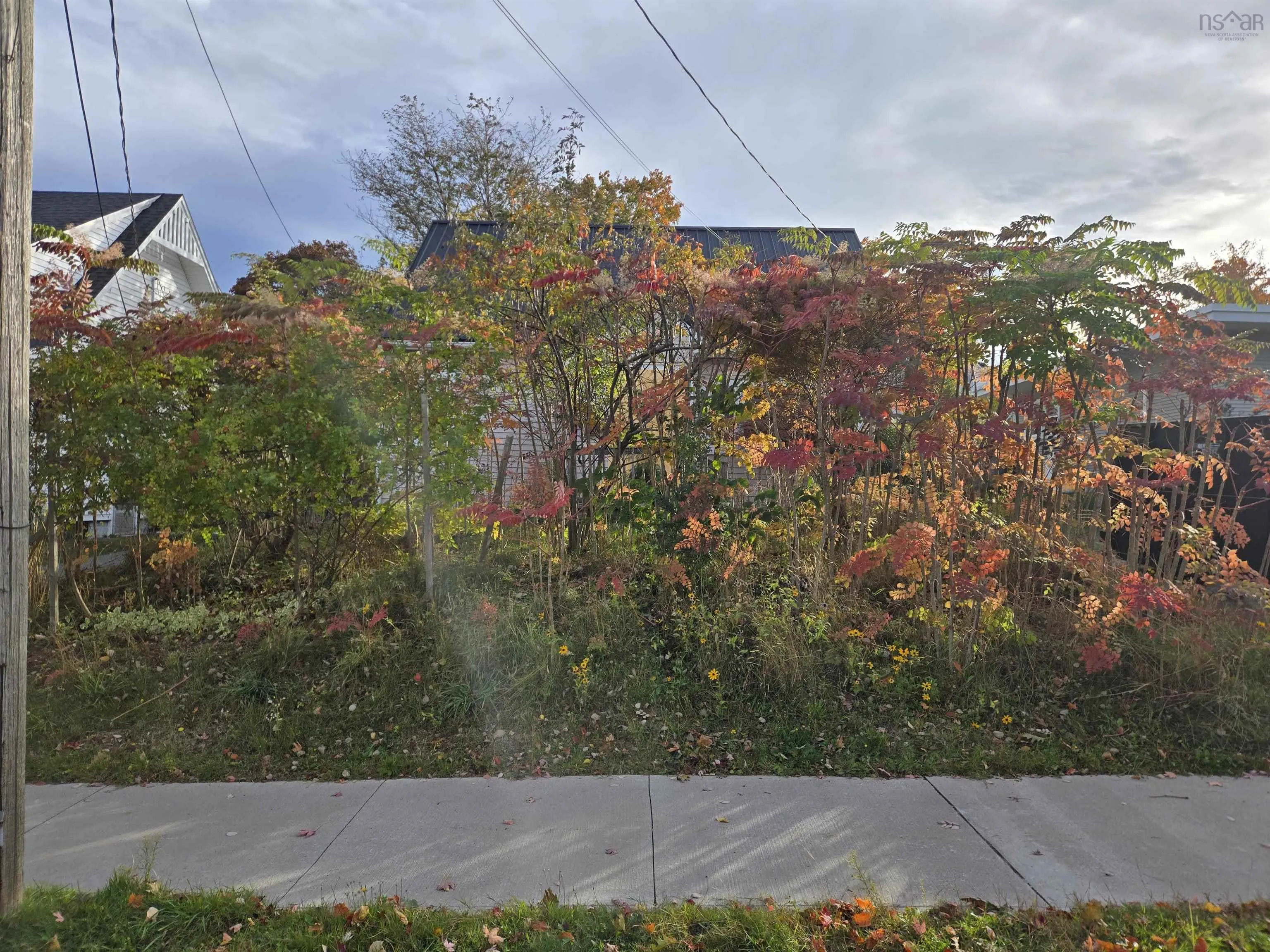 55 Archibald St, Truro, NS B2N 4R5, 2 Bedrooms Bedrooms, ,1 BathroomBathrooms,Residential,For Sale,Archibald St,202525510