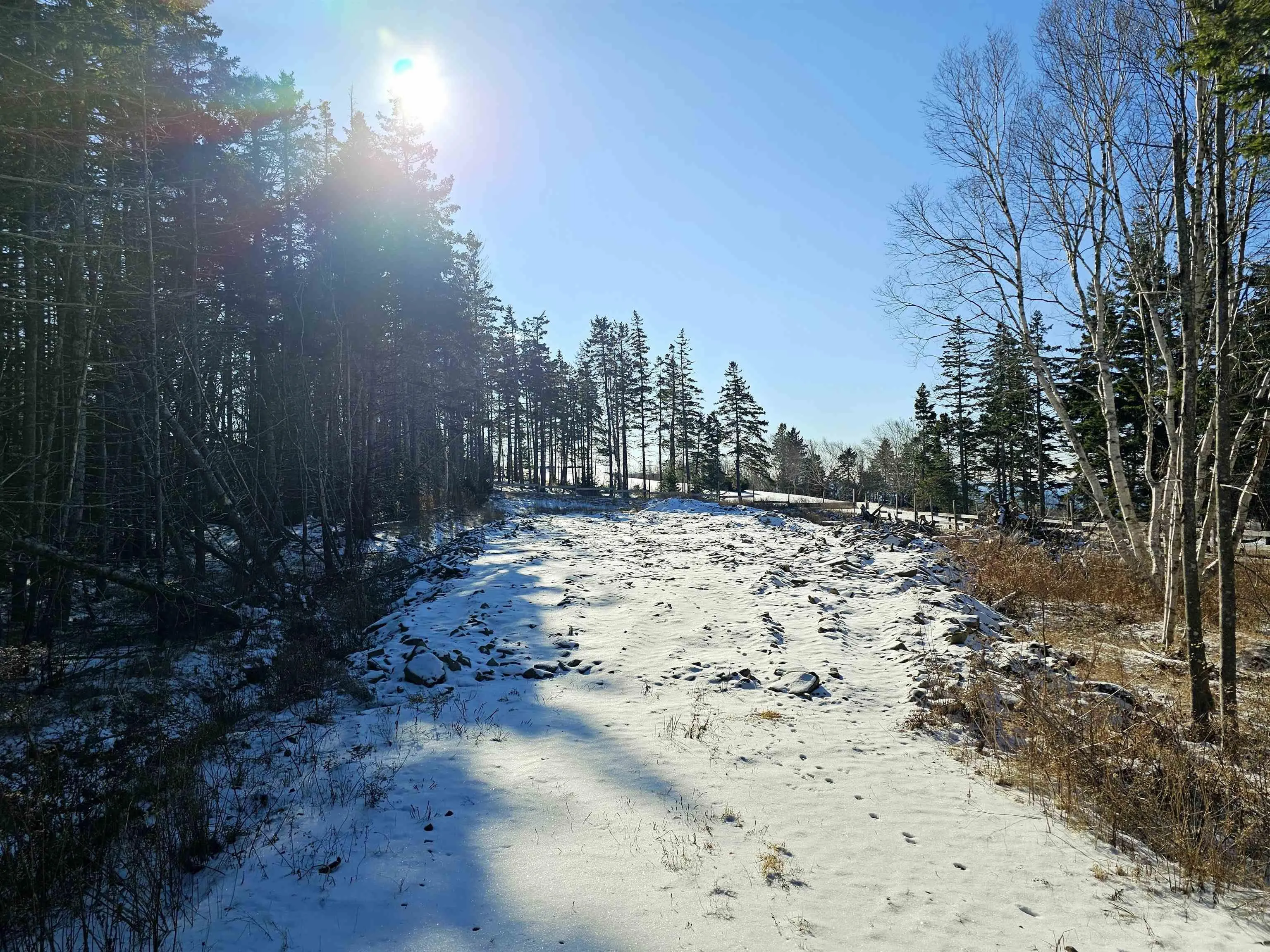 Lot 9 Groves Point Road, Hillside Boularderie Ns B1y 2t5, ,Land,For Sale,Groves Point,202501619