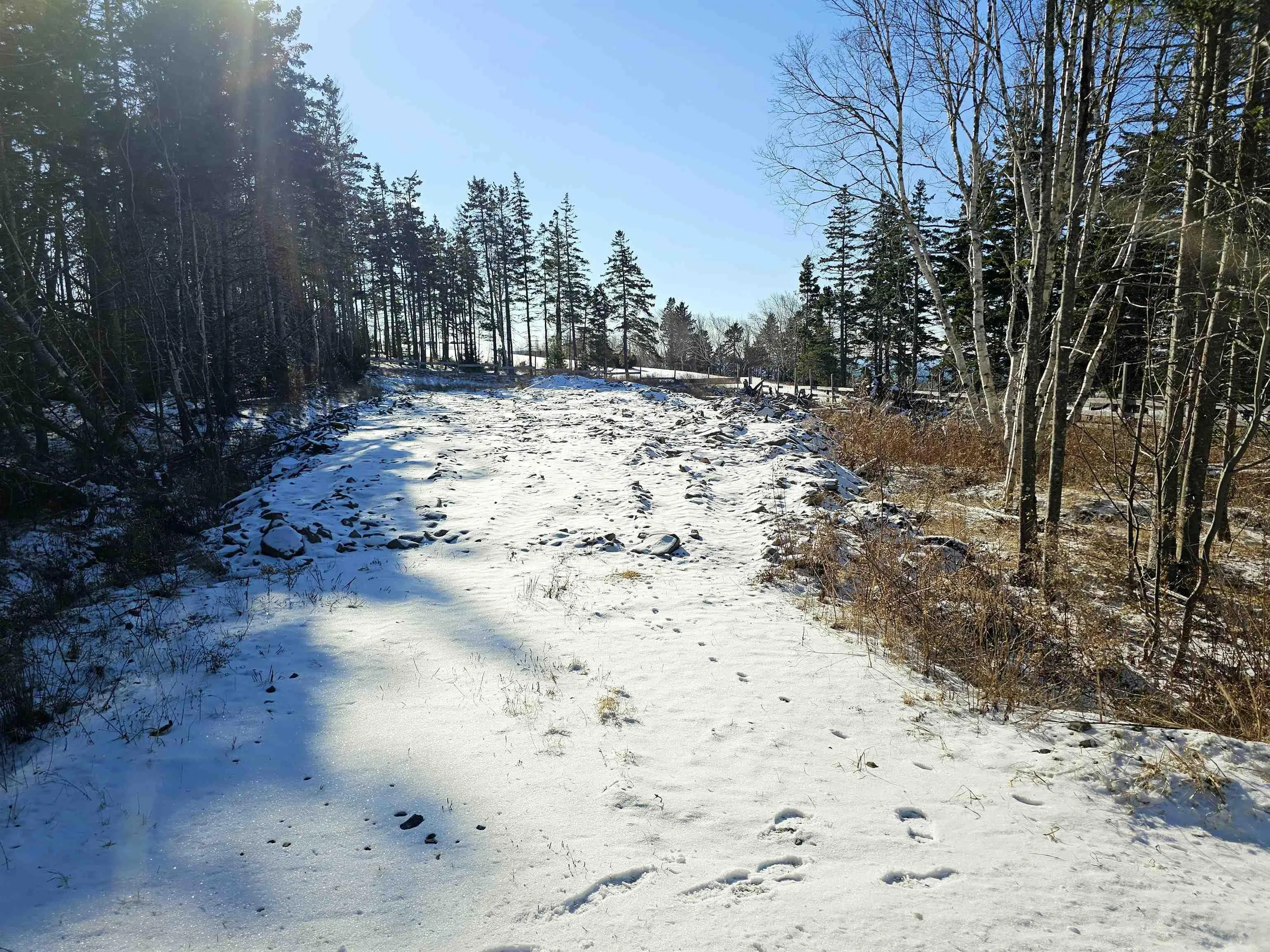 Lot 9 Groves Point Road, Hillside Boularderie Ns B1y 2t5, ,Land,For Sale,Groves Point,202501619