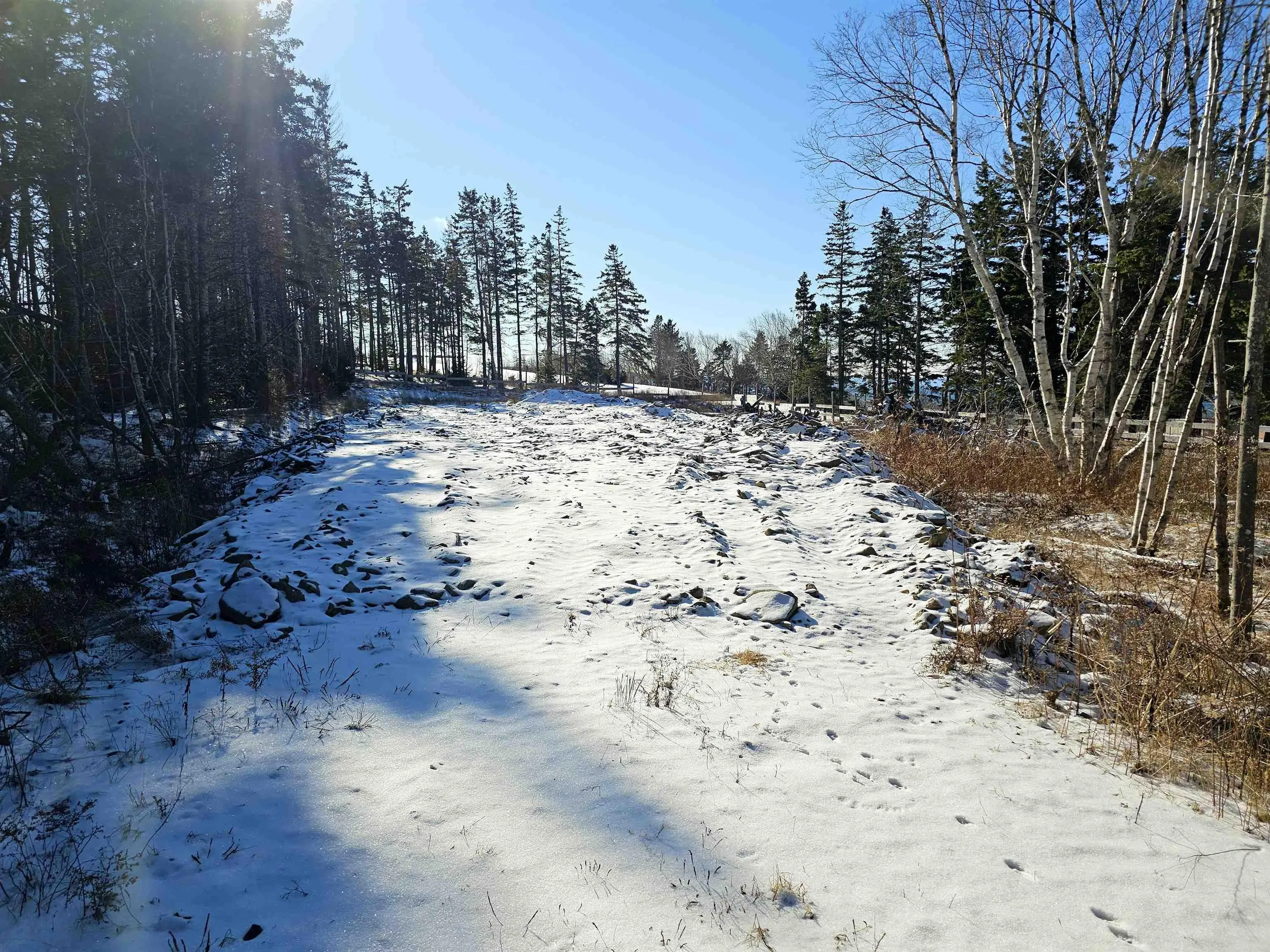 Lot 9 Groves Point Road, Hillside Boularderie Ns B1y 2t5, ,Land,For Sale,Groves Point,202501619