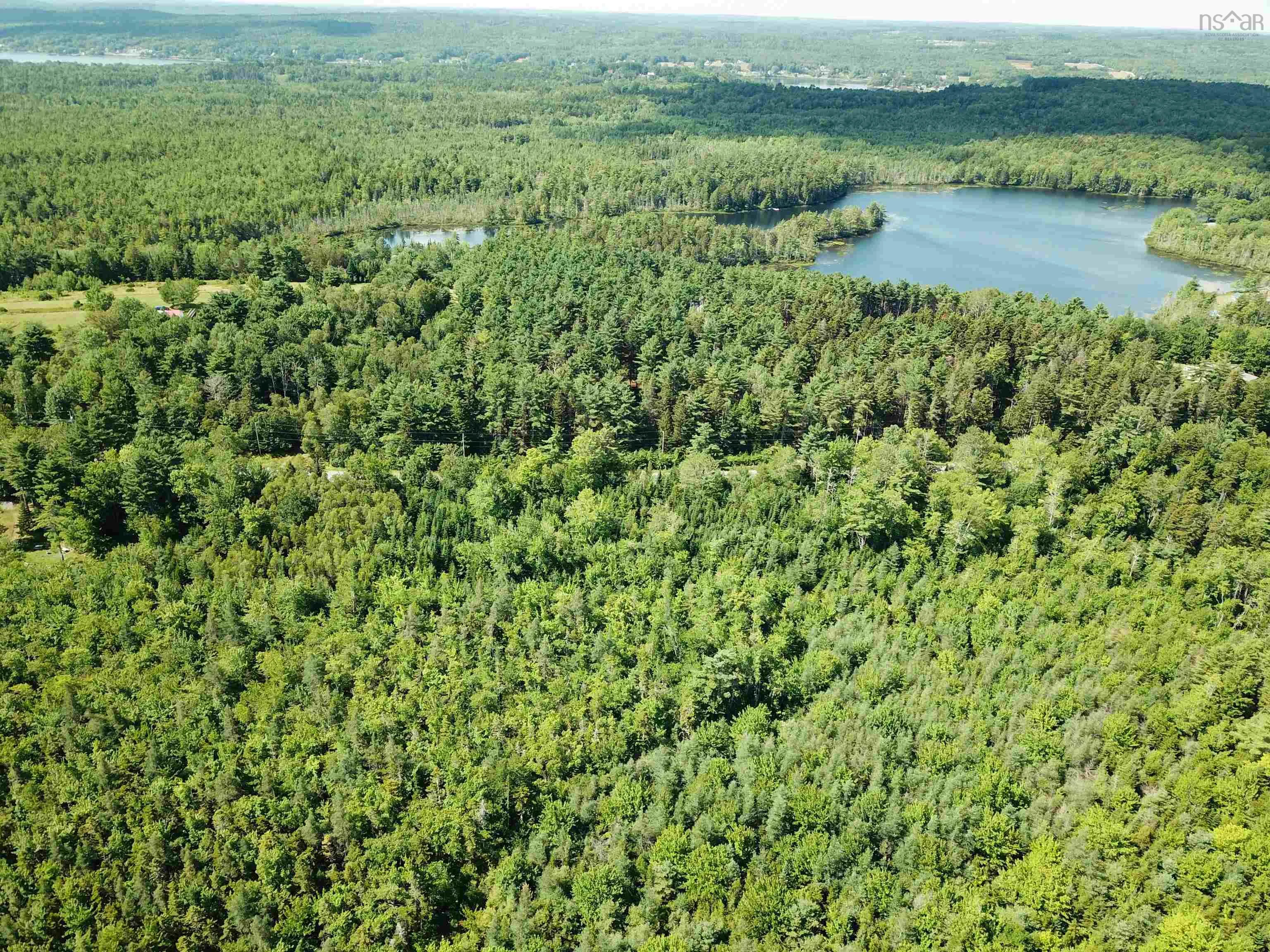 Crouses Settlement Road Lot 103, Crouses Settlement, NS B0J 2C0, ,Land,For Sale,Crouses Settlement,202519476