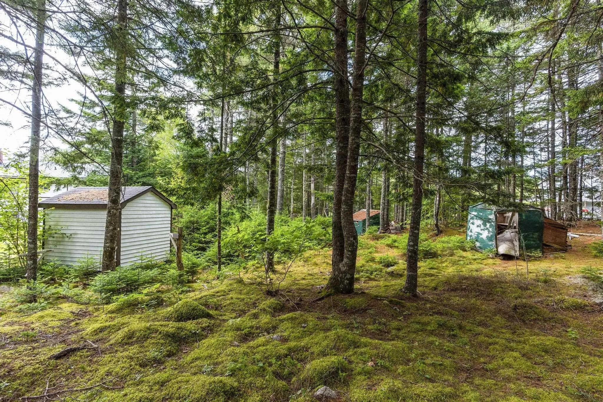 70 Chester Downs Road, East Chester, NS B0J 1J0, 3 Bedrooms Bedrooms, ,3 BathroomsBathrooms,Residential,For Sale,Chester Downs,202521356