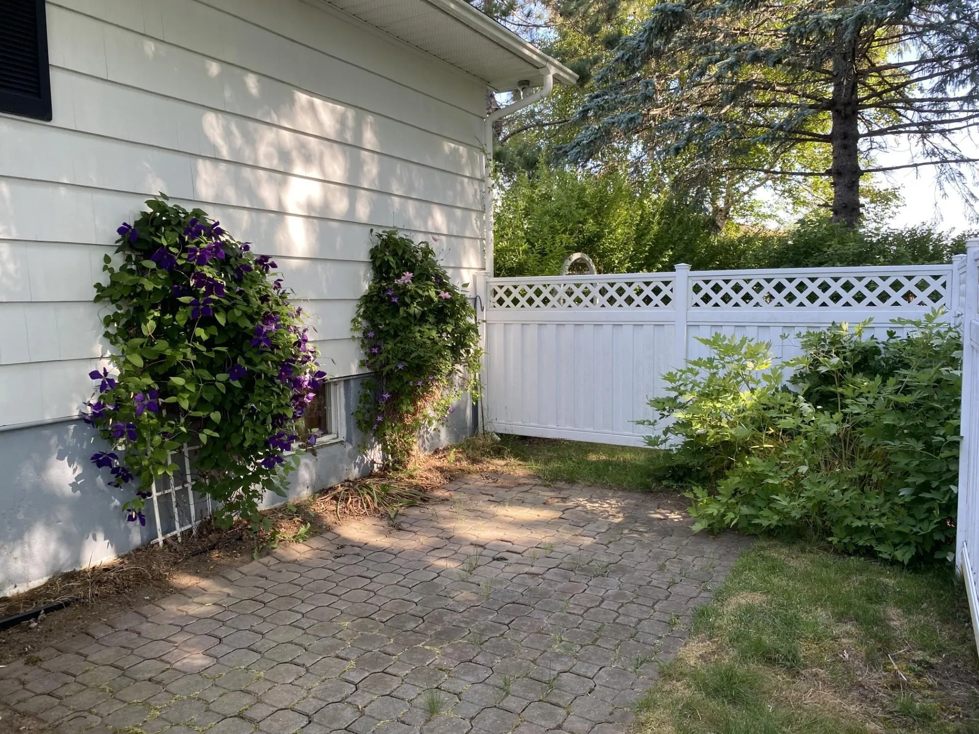 18 Wilkie Drive, North Sydney, NS B2A 1Y4, 3 Bedrooms Bedrooms, ,2 BathroomsBathrooms,Residential,For Sale,Wilkie,202518877