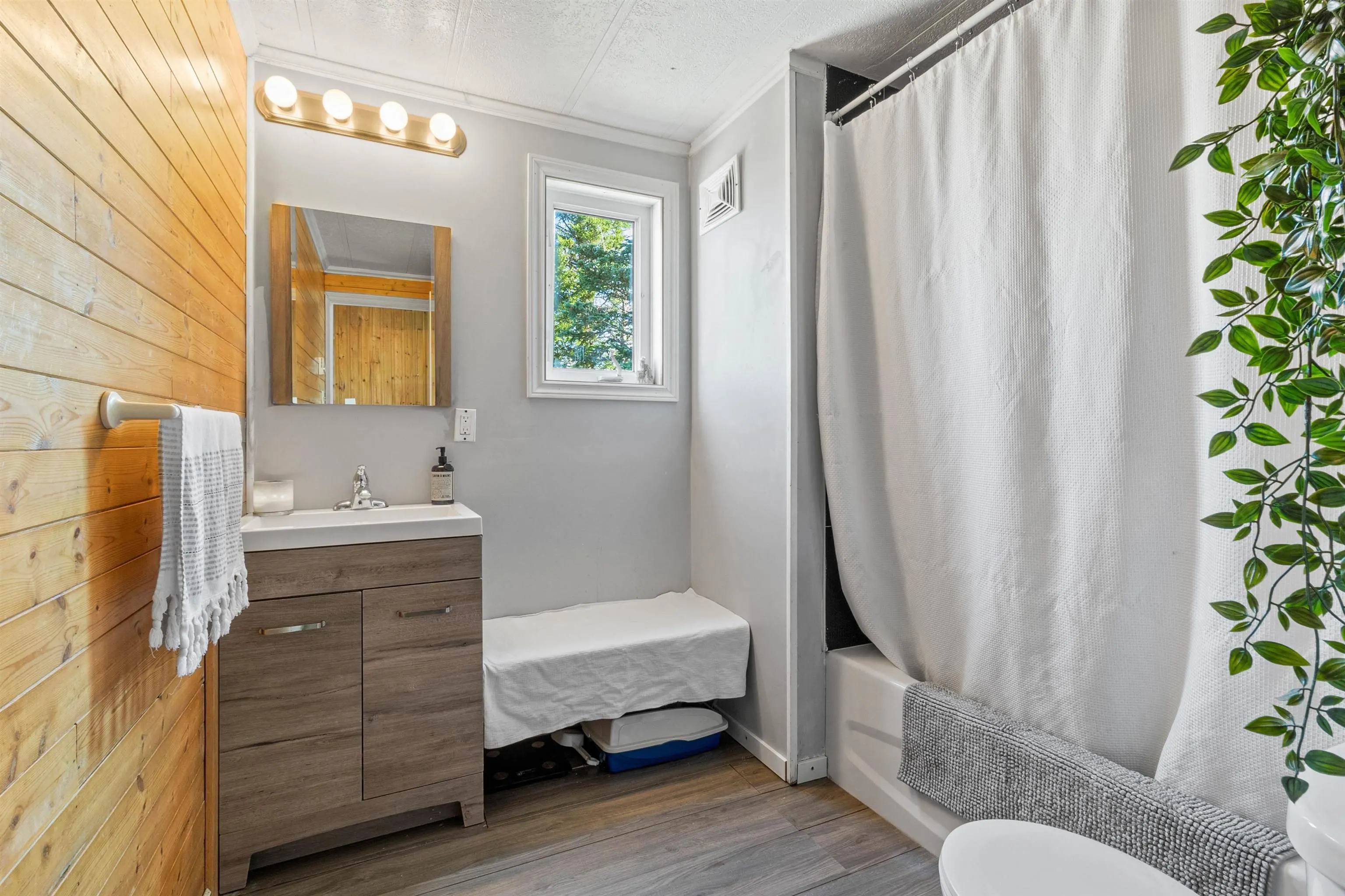 62 Greenhead Road, Prospect, NS B4T 1B1, 3 Bedrooms Bedrooms, ,1 BathroomBathrooms,Residential,For Sale,Greenhead,202521680