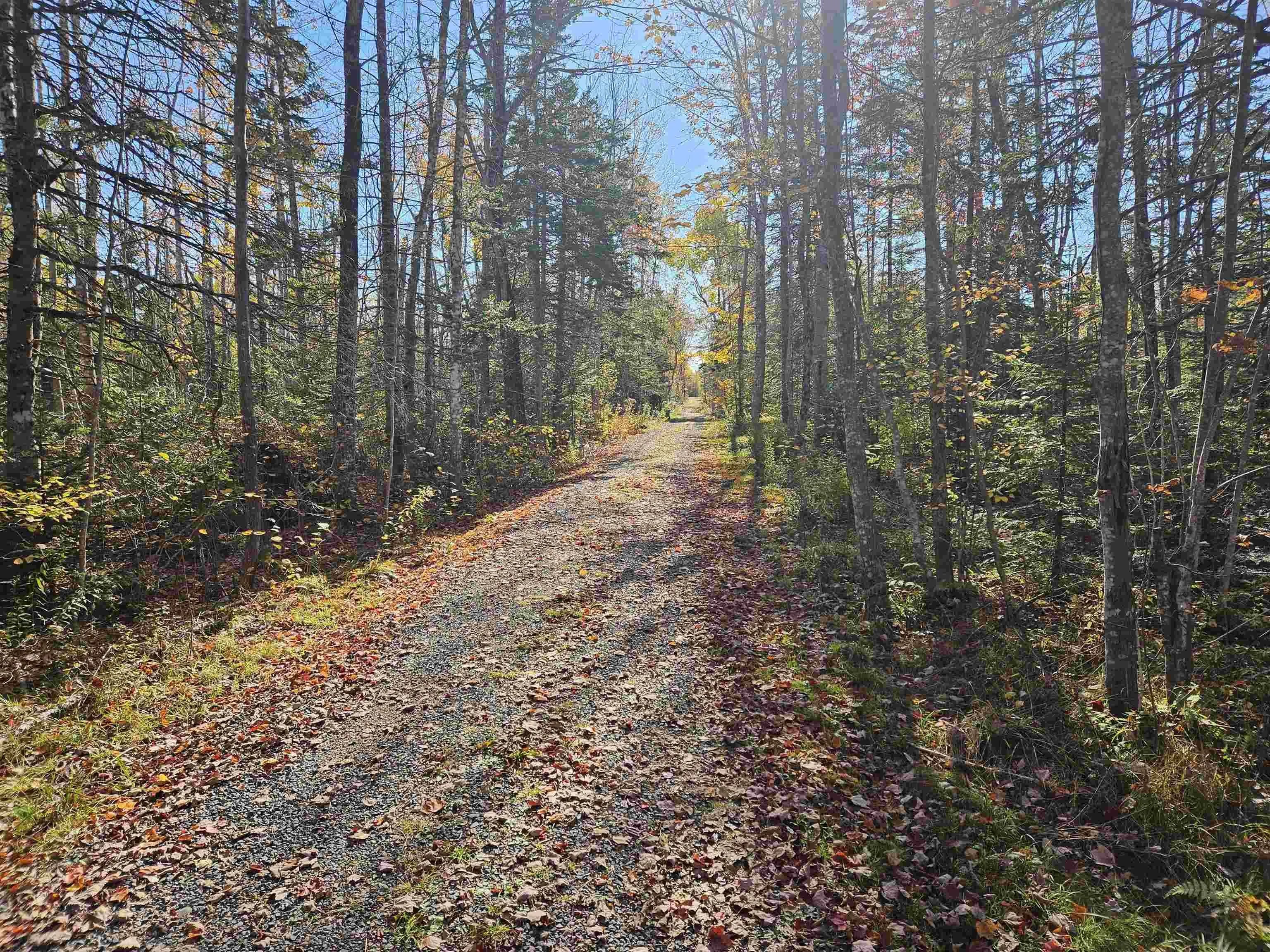 10201 Hwy #204 Highway, South Victoria Ns B0m 1p0, 2 Bedrooms Bedrooms, ,1 BathroomBathrooms,Residential,For Sale,Hwy #204,202508526