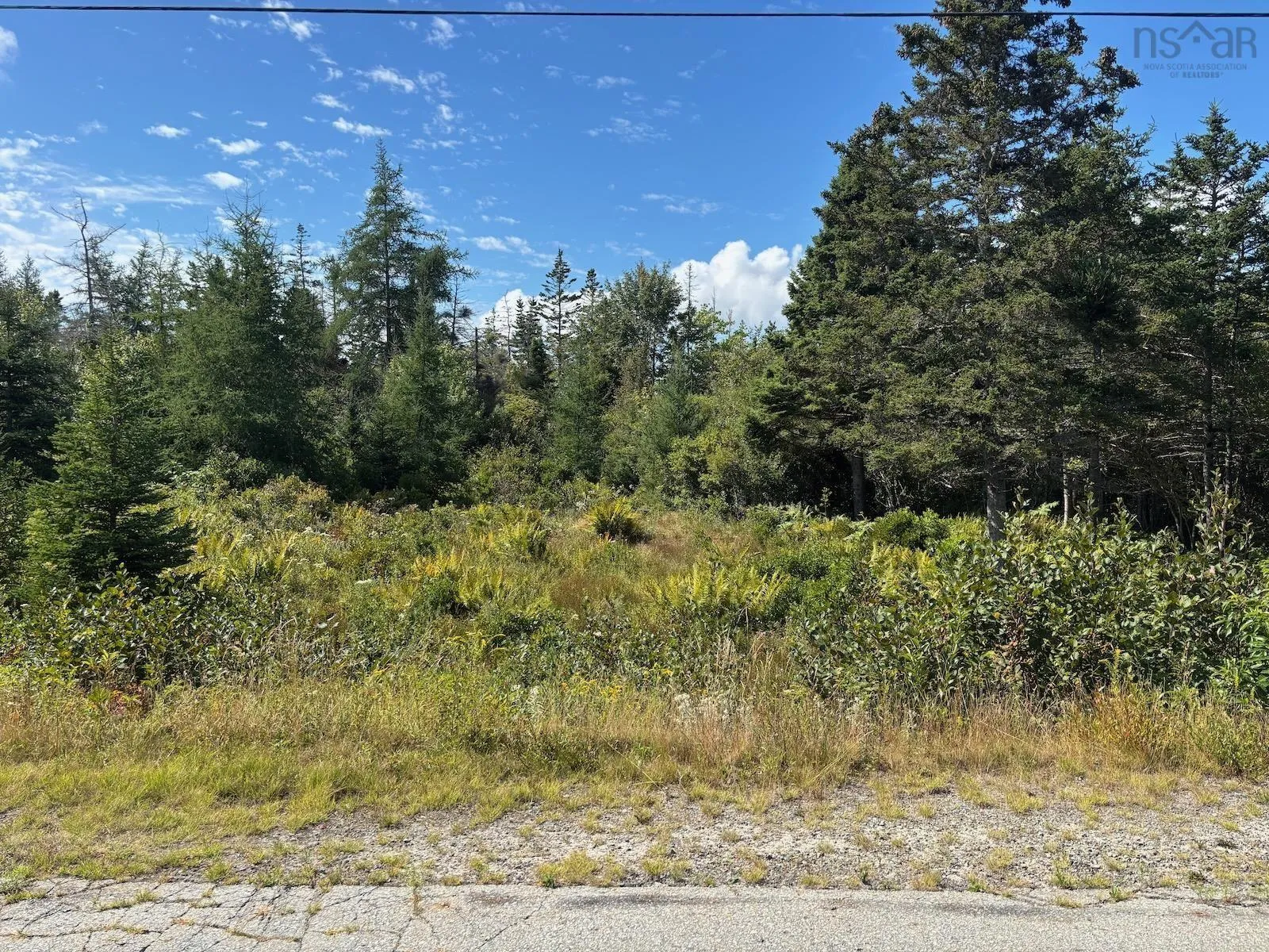 Lot "c-1" Cape Wharf Road, Upper Wedgeport, NS B0W 1B0, ,Land,For Sale,Cape Wharf,202522442