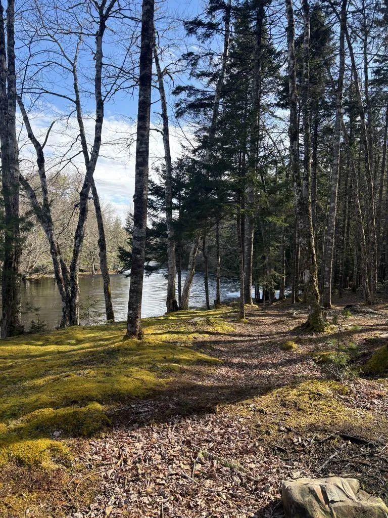 790 Depot Road, East Kemptville, NS B5A 5P4, 1 Bedroom Bedrooms, ,1 BathroomBathrooms,Residential,For Sale,Depot,202517946