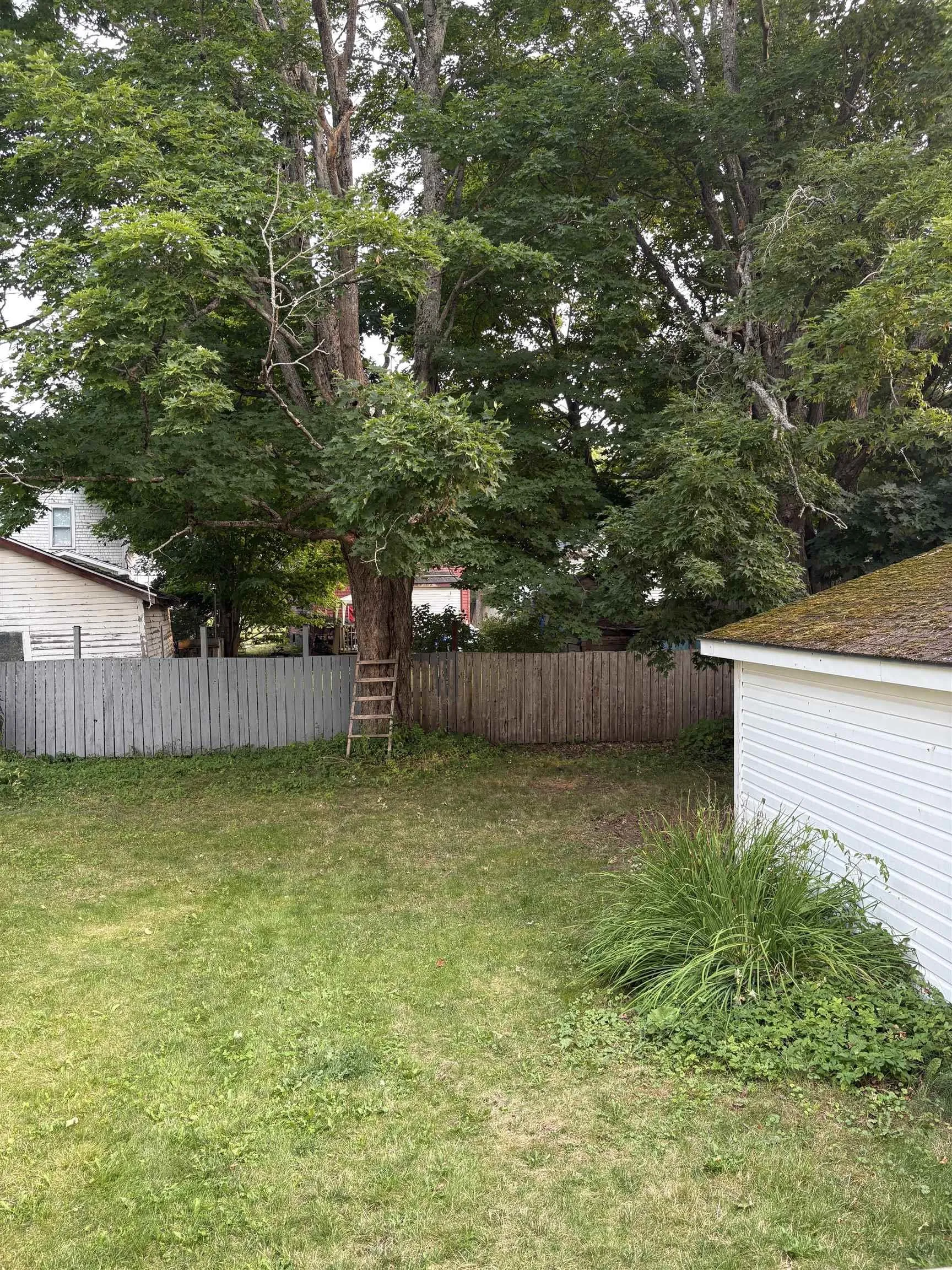 1196 Prince Street, Truro, NS B2N 1J4, 5 Bedrooms Bedrooms, ,2 BathroomsBathrooms,Residential,For Sale,Prince,202519785