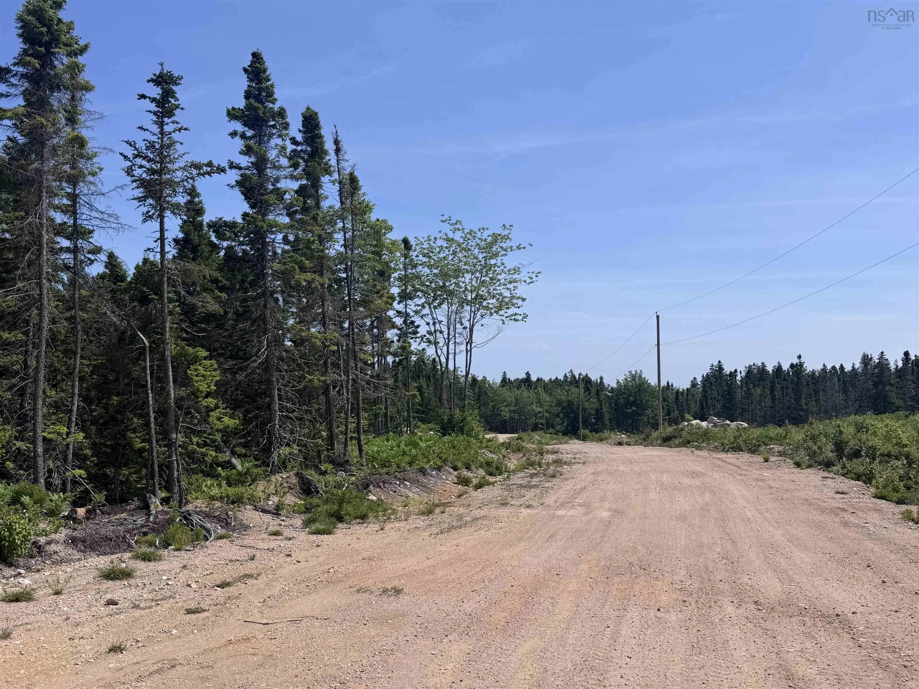 Cabot Trail, Ingonish, NS B0C 1K0, ,Land,For Sale,Cabot,202517566